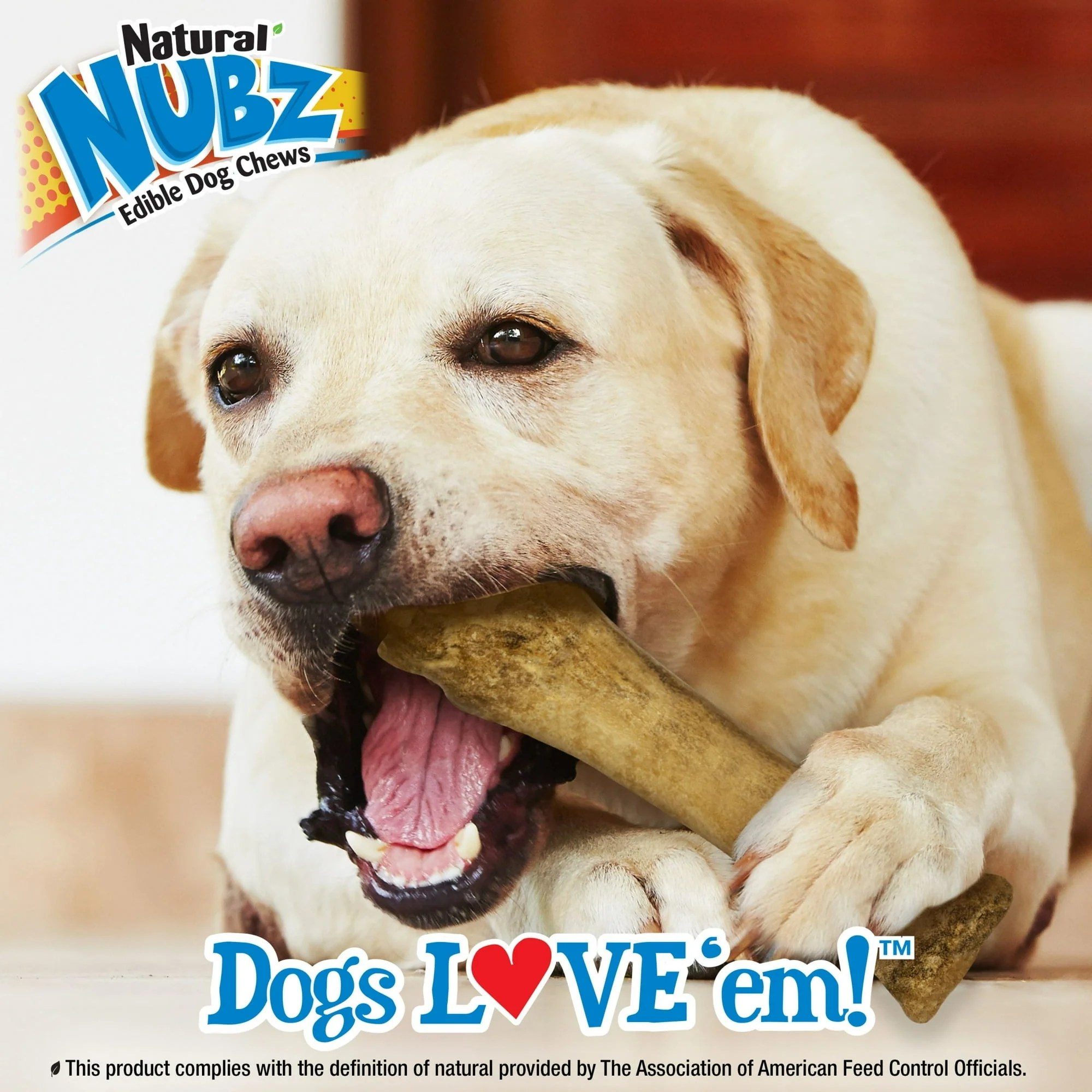 Nylabone Natural Nubz Edible Dog Dry Chew Treat, Chicken Flavor, Small - Image 27
