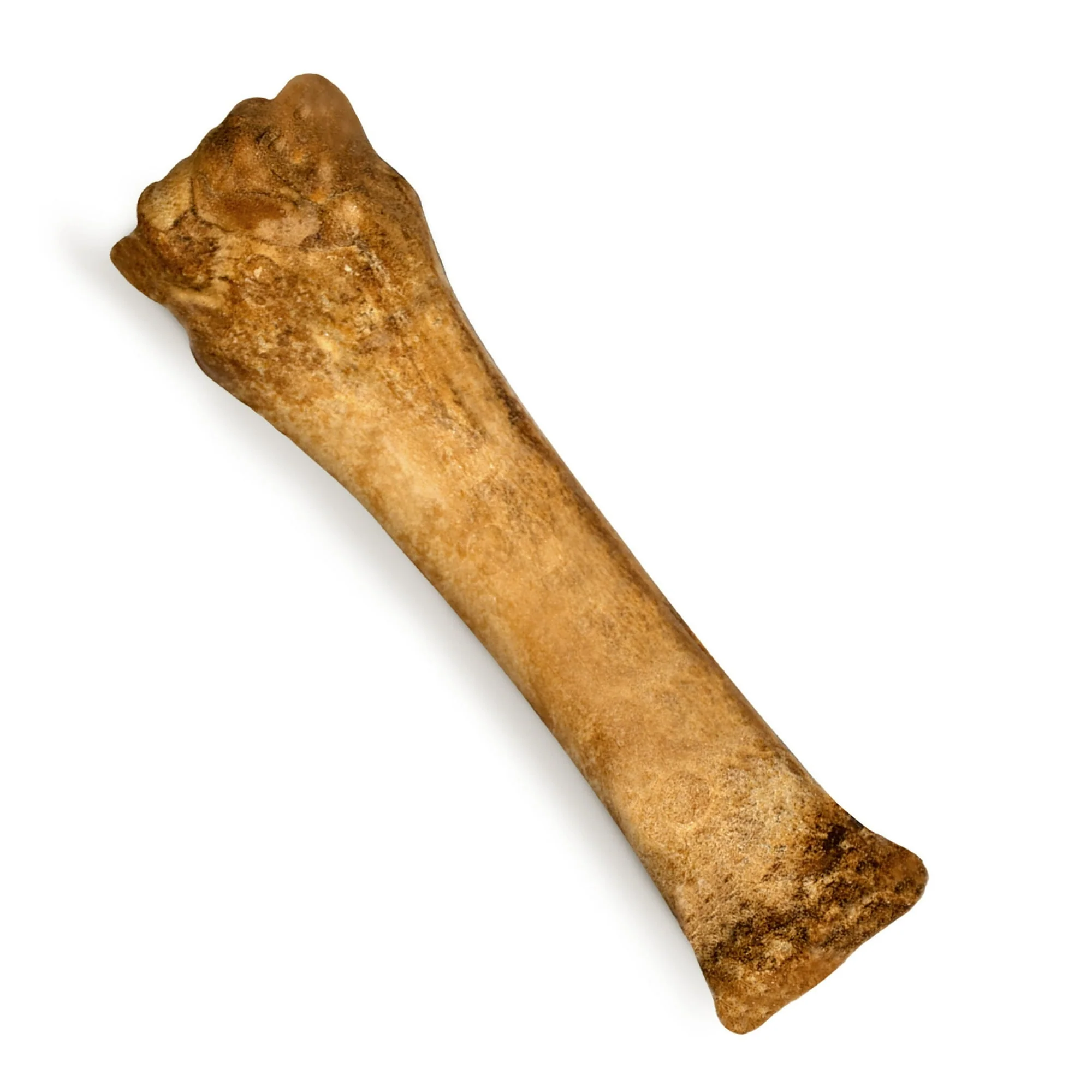 Nylabone Natural Nubz Edible Dog Dry Chew Treat, Chicken Flavor, Small - Image 30