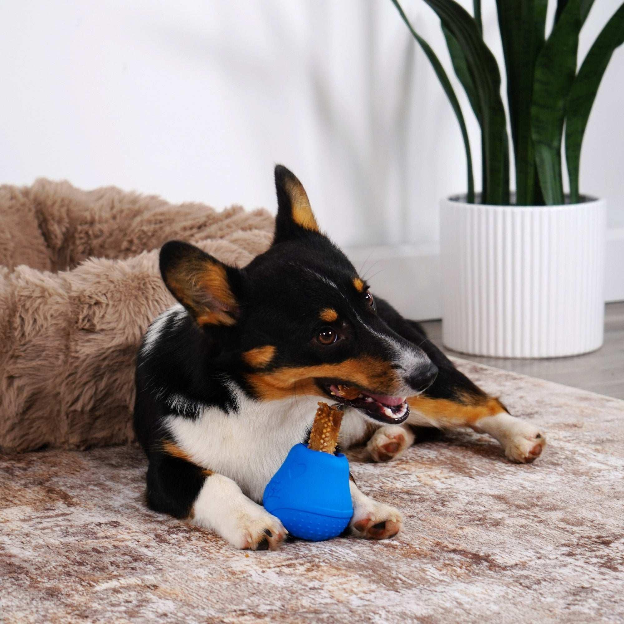 Nylabone NUBZ Treat N' Chew Dog Toy Variety Pack, 3-count - Image 4