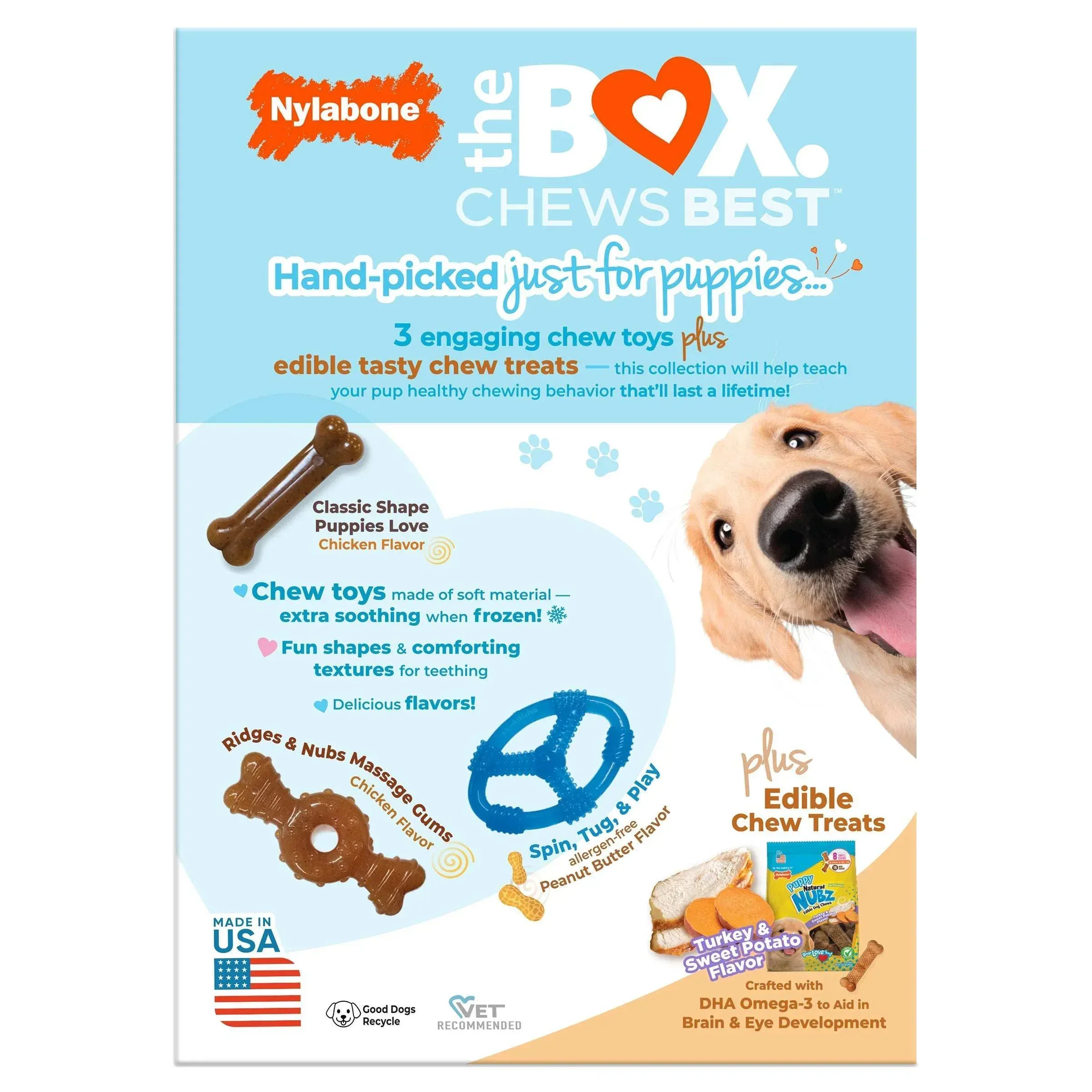 Nylabone Puppy Chew Toys and Small NUBZ Gift Box, 4-count - Image 3