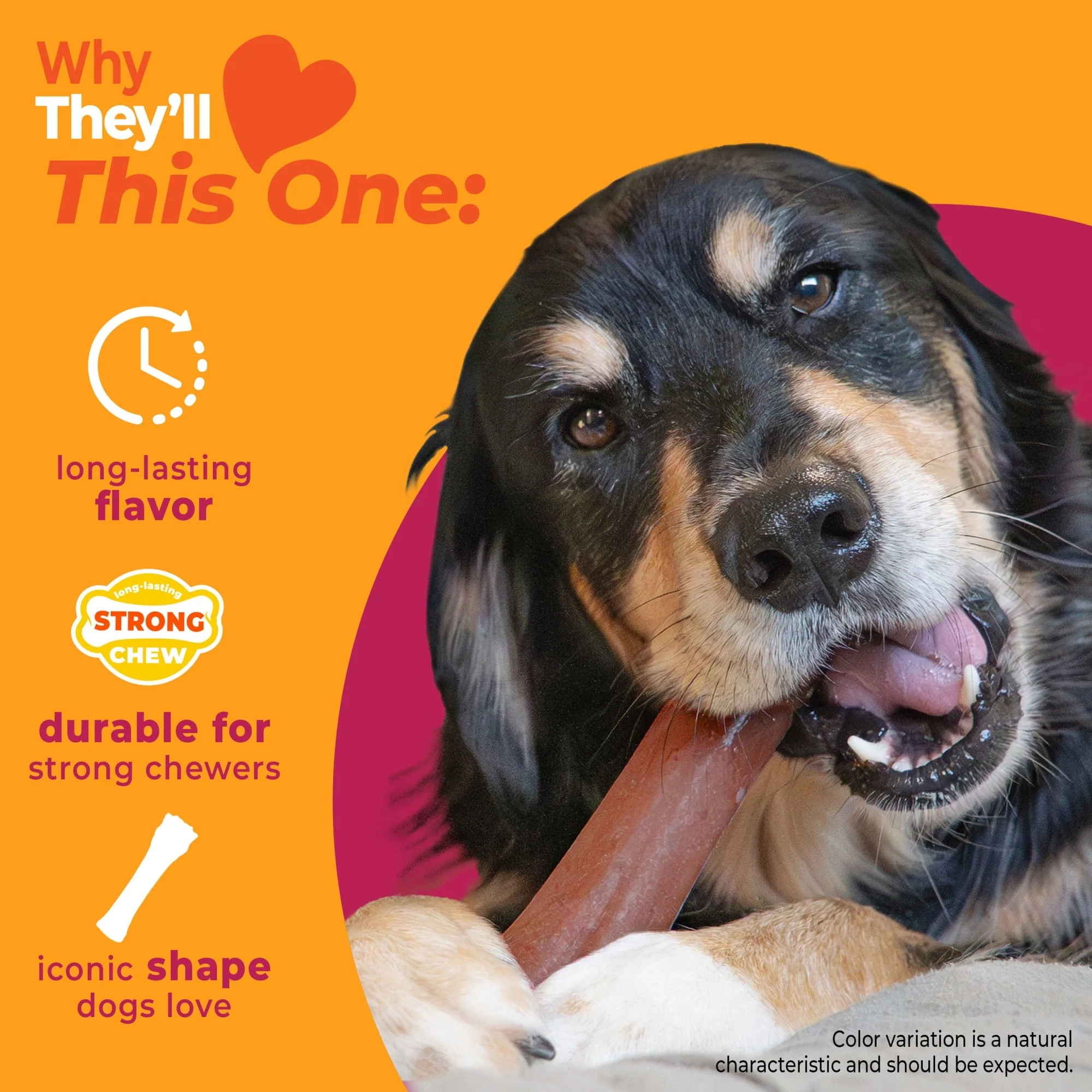Nylabone Strong Chew Antler Dog Toy, Dog Chew Toy, Made with Real Venison Flavor, Medium, 1 Count - Image 11