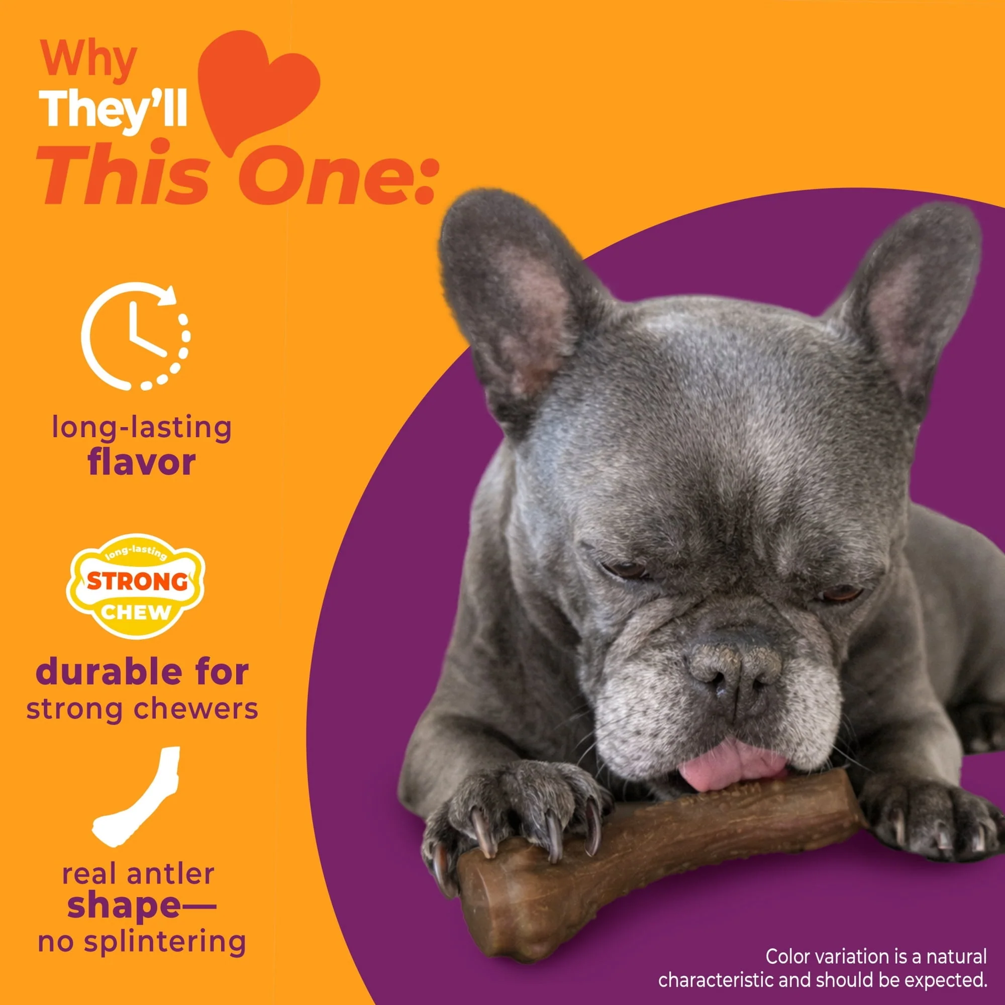 Nylabone Strong Chew Antler Dog Toy, Dog Chew Toy, Made with Real Venison Flavor, Medium, 1 Count - Image 3