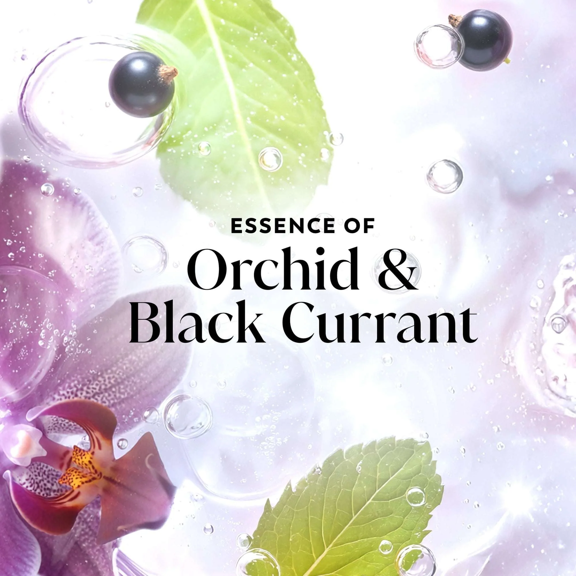 Olay Fresh Radiance Body Wash, Orchid & Black Currant, with Vitamin B3, 35oz - Image 3
