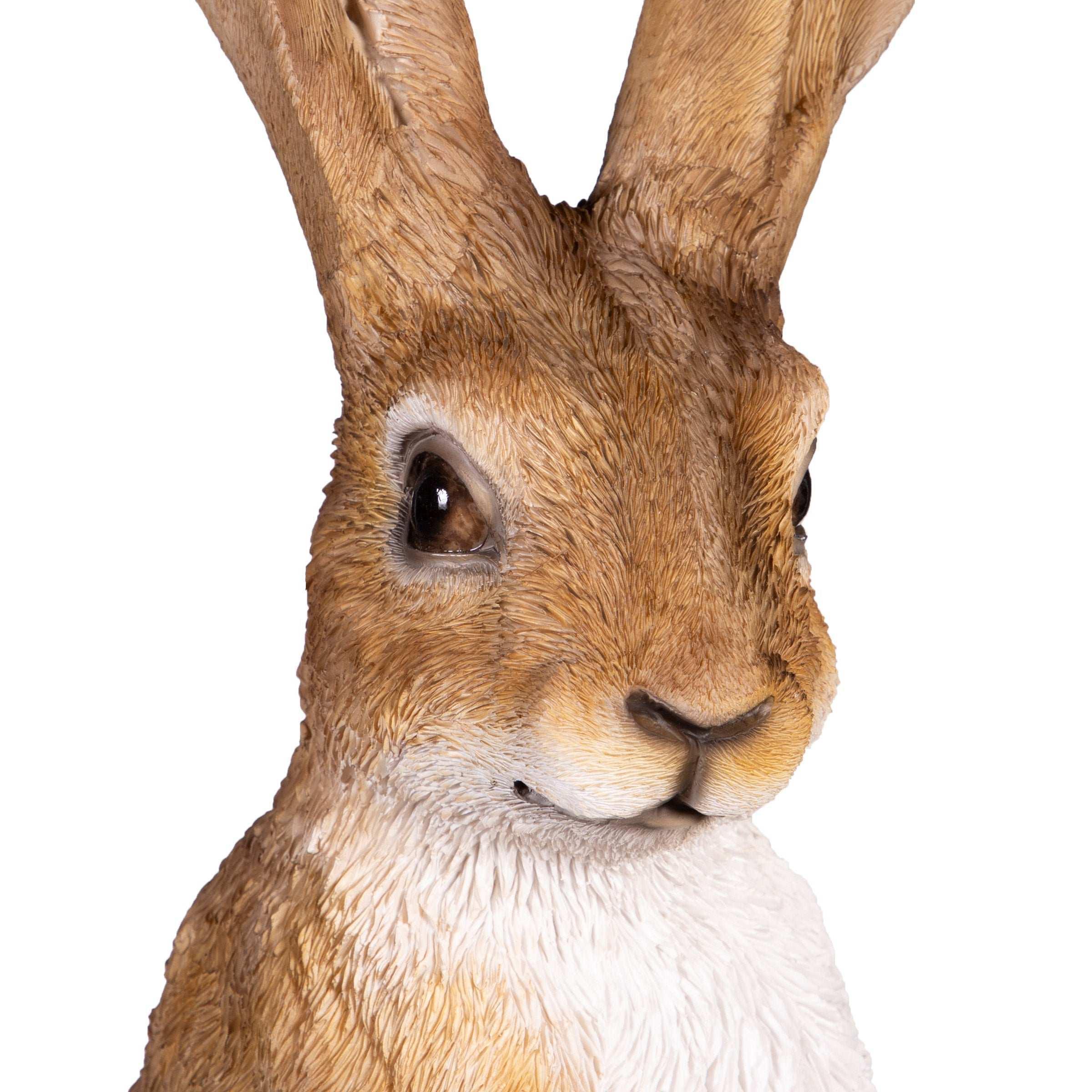 Ornamental Hares, 2-pack - Image 5