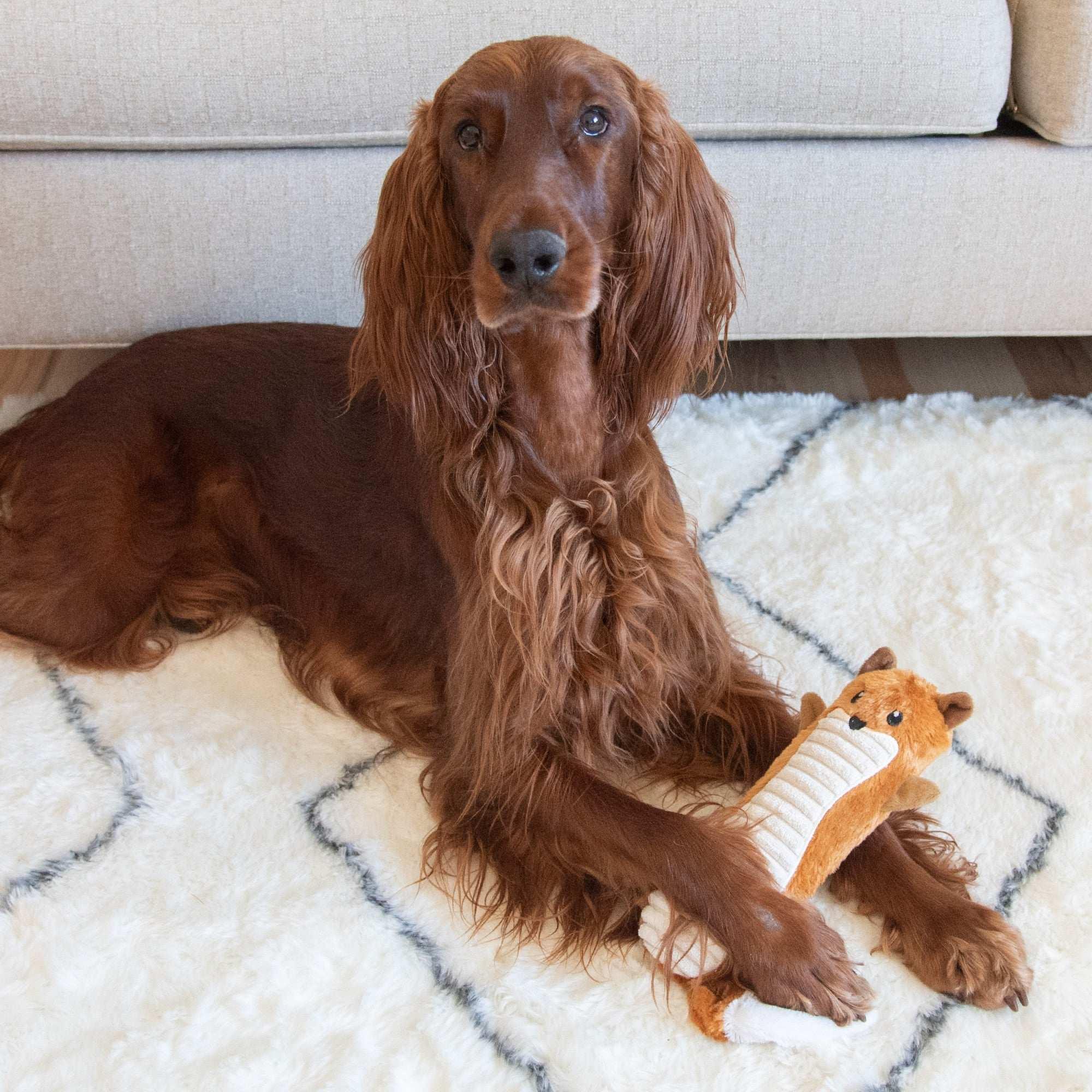 Outward Hound Stuffing-Free Big Squeak Fox Plush Dog Toy, Orange, Medium - Image 5