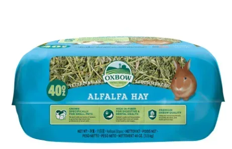 Oxbow Premium Alfalfa Hay Small Animal Food for Rabbits & Small Animals- 40 oz - Image 3