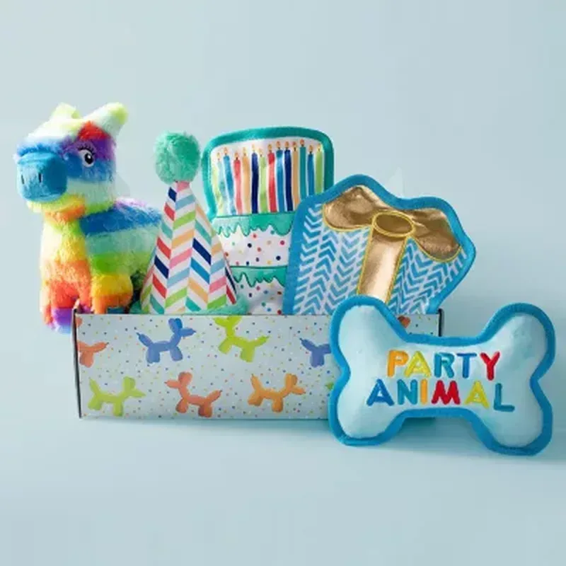 Party Animal Birthday Box Dog Toy Bundle, 5-Piece Set (Blue) - Image 2