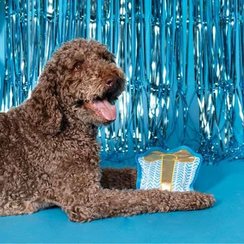Party Animal Birthday Box Dog Toy Bundle, 5-Piece Set (Blue) - Image 5