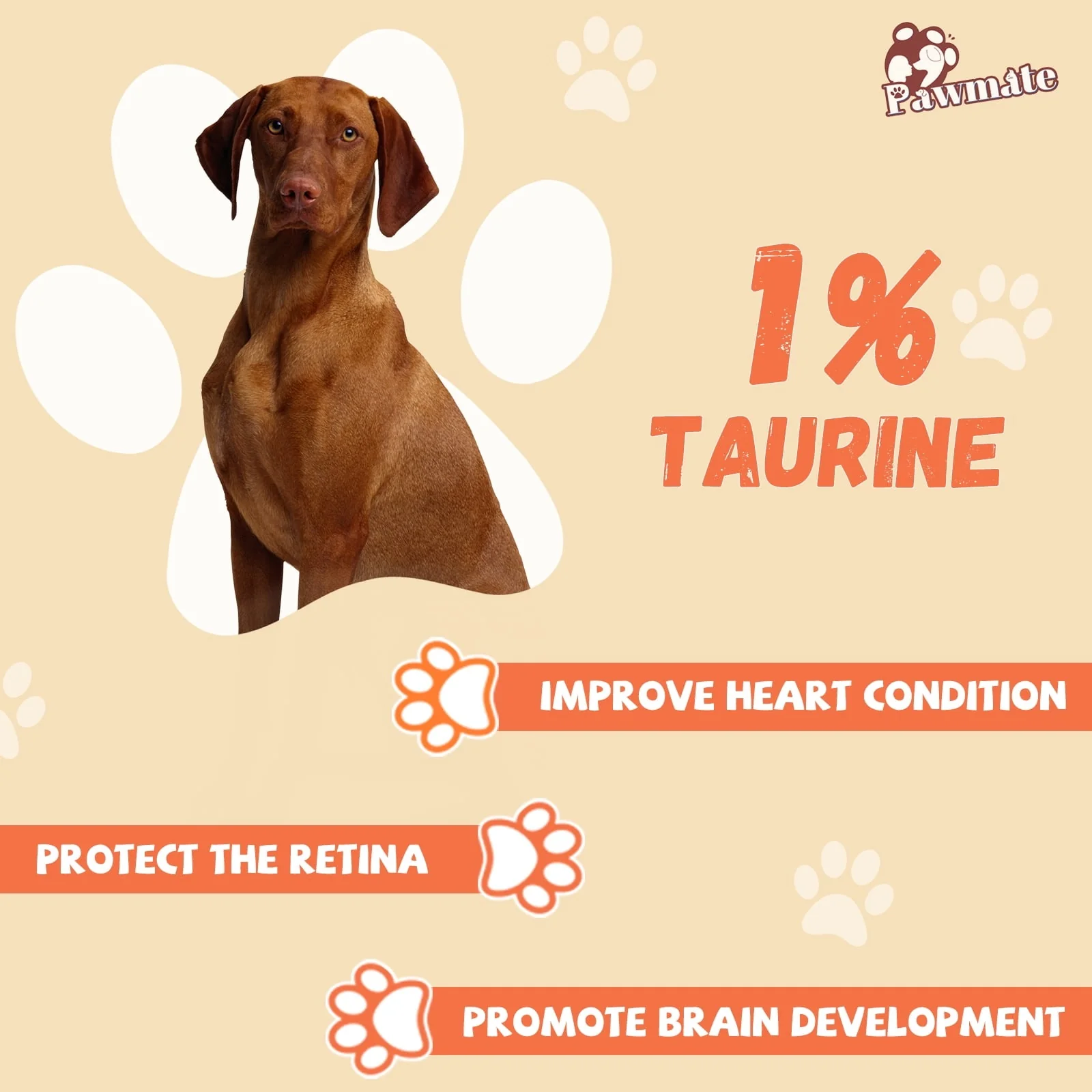Pawmate Chicken Jerky Dog Treats, High Protein Pure Chicken Snacks for Small Medium Large Dog, 11 oz - Image 5