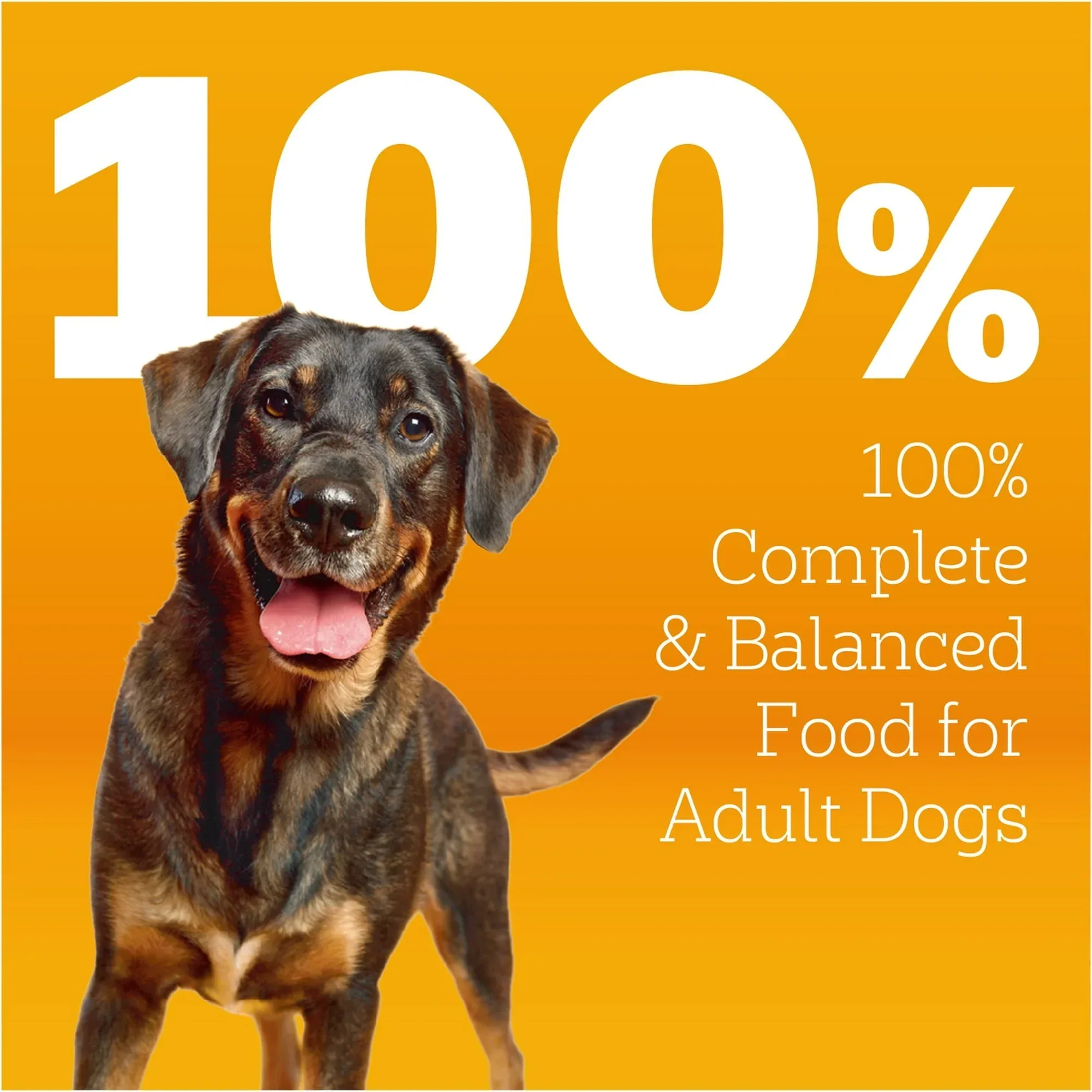 Pedigree Adult Dry Dog Food Roasted Chicken & Vegetable Flavor With Bacon Flavored Bites - Image 4
