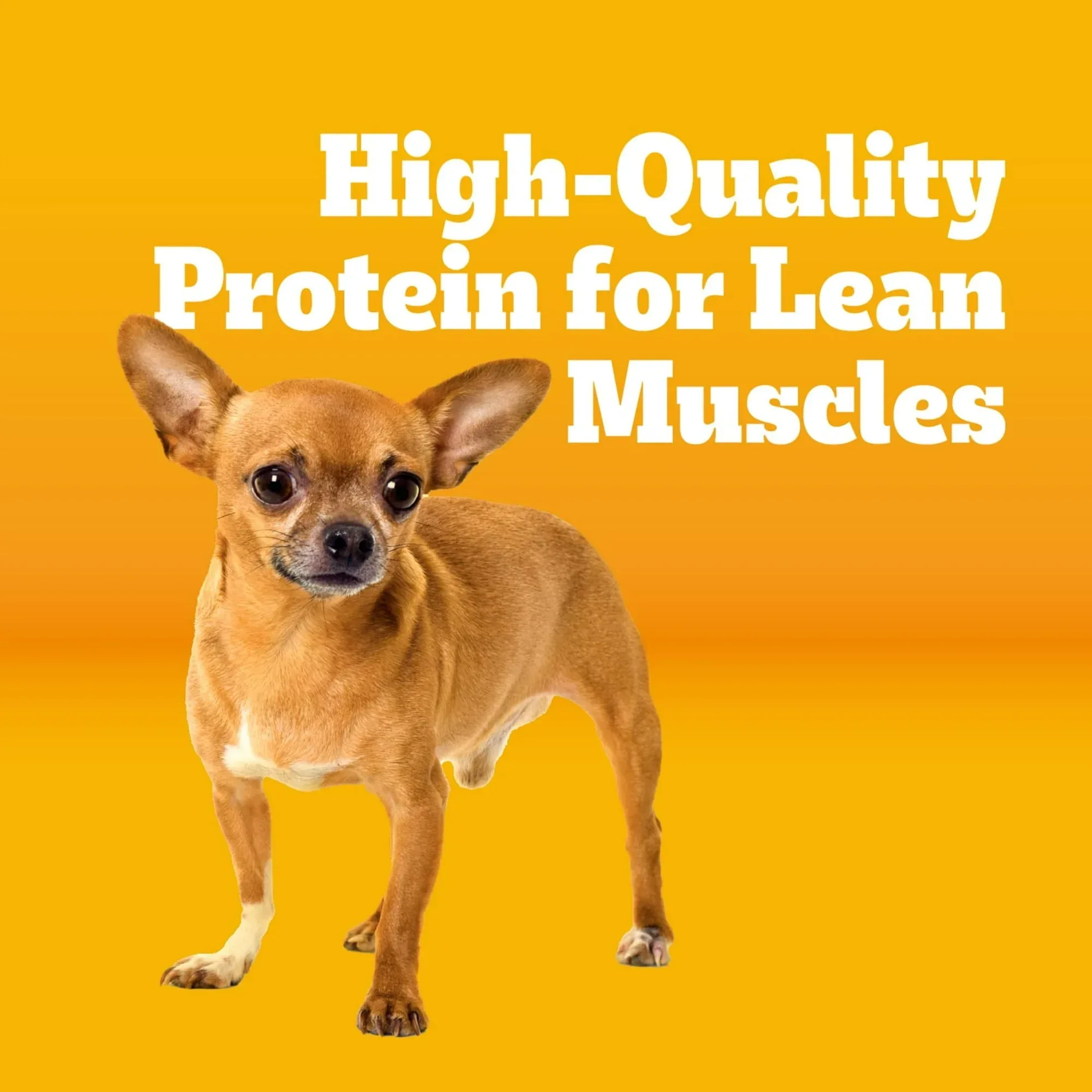 Pedigree Adult Small Dog Dry Dog Food, Roasted Chicken and Vegetable Flavor - Image 3