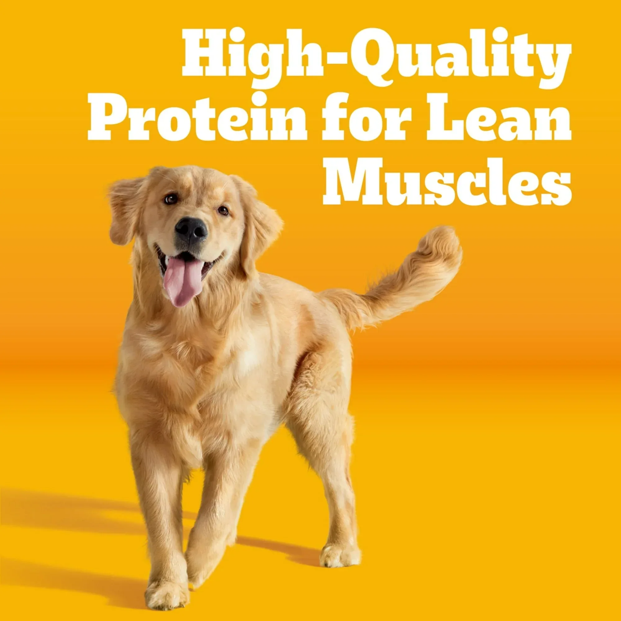 Pedigree Complete Nutrition Adult Dry Dog Food, Roasted Chicken & Vegetable Flavor - Image 4