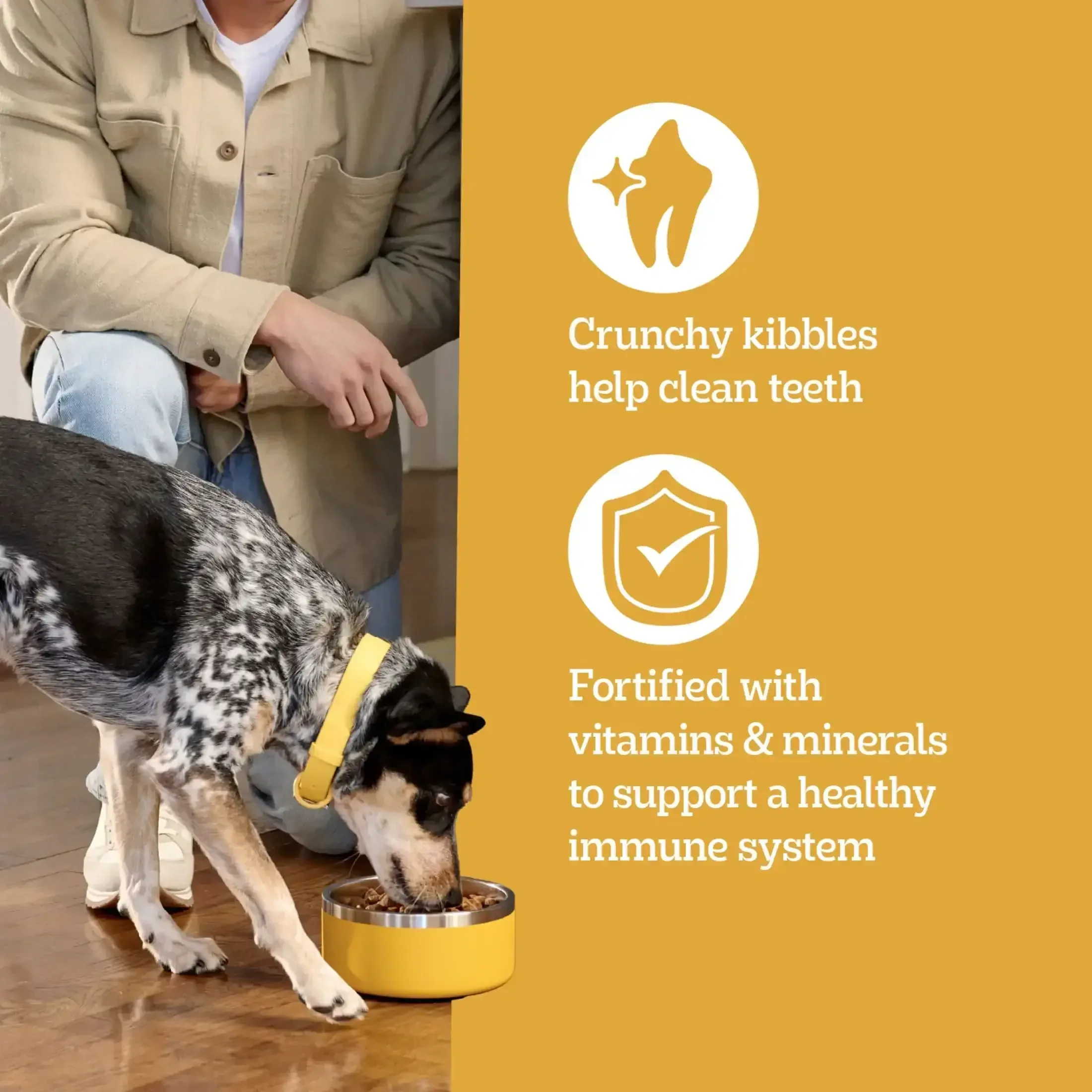 Pedigree High Protein Adult Dry Dog Food, Beef and Lamb Flavor - Image 6