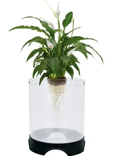Penn-Plax Aqua-Ponic Betta Tank & Hydroponic Planter – Promotes a Healthy Environment for Plants and Fish – 1.4 Gallon - Image 3