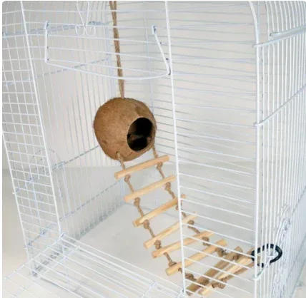 Penn-Plax Coconut Hide Out with 7 Step Ladder, for Bird or Small Animal Cage - Image 3
