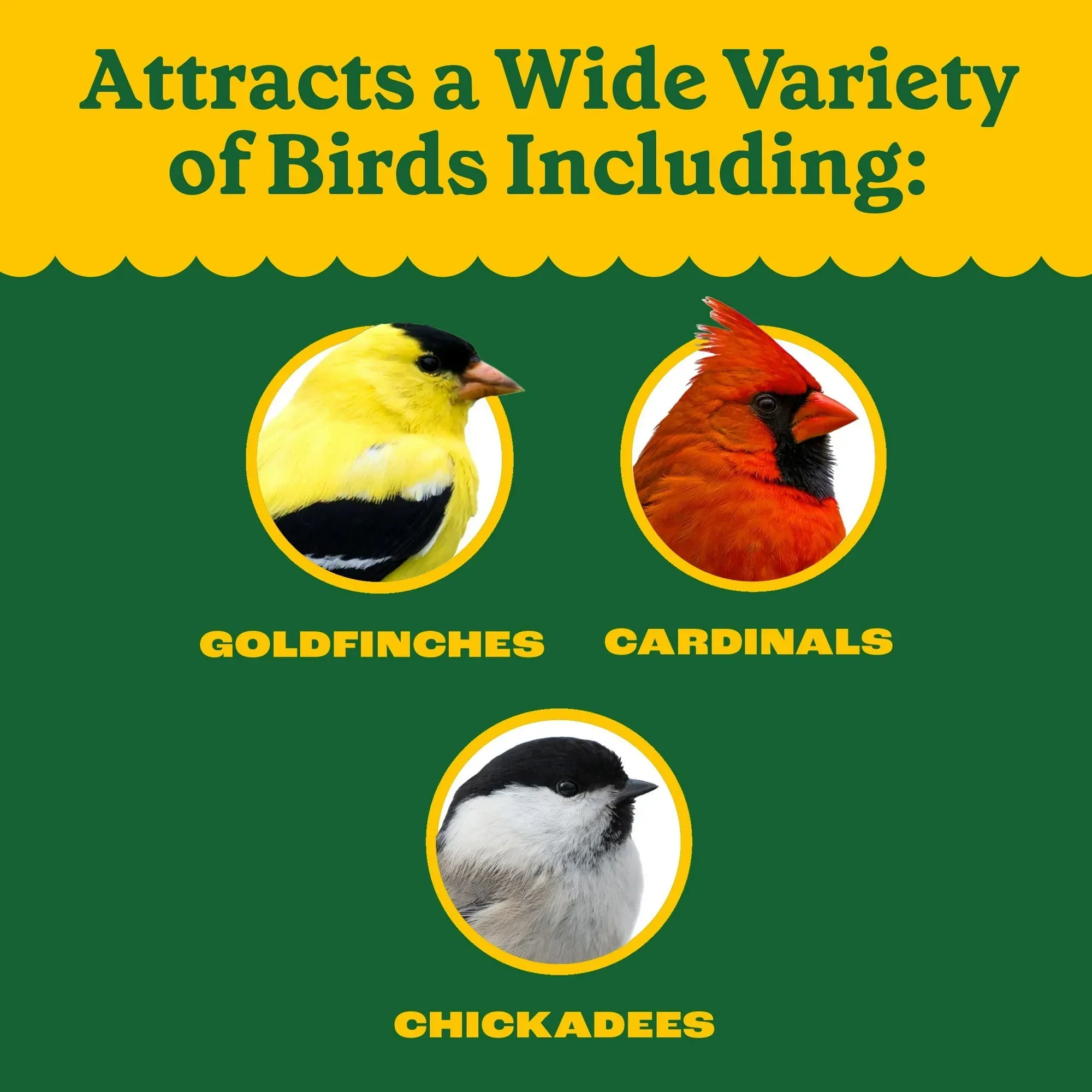 Pennington Classic Dry Wild Bird Feed and Wild Bird Seed, 1 Pack - Image 11