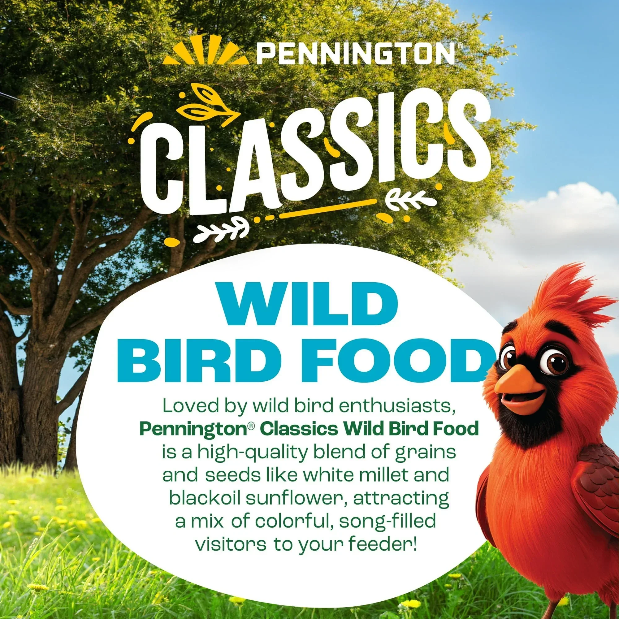 Pennington Classic Dry Wild Bird Feed and Wild Bird Seed, 1 Pack - Image 26
