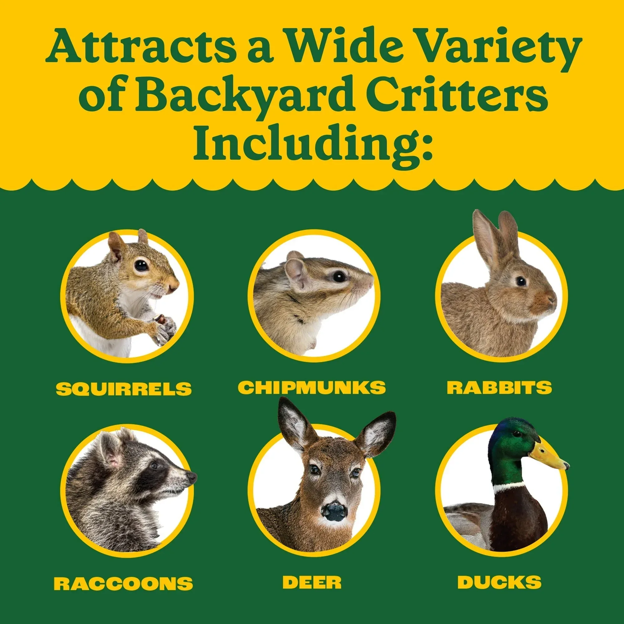 Pennington Classics Squirrel & Critter Blend Wildlife Food - Image 15