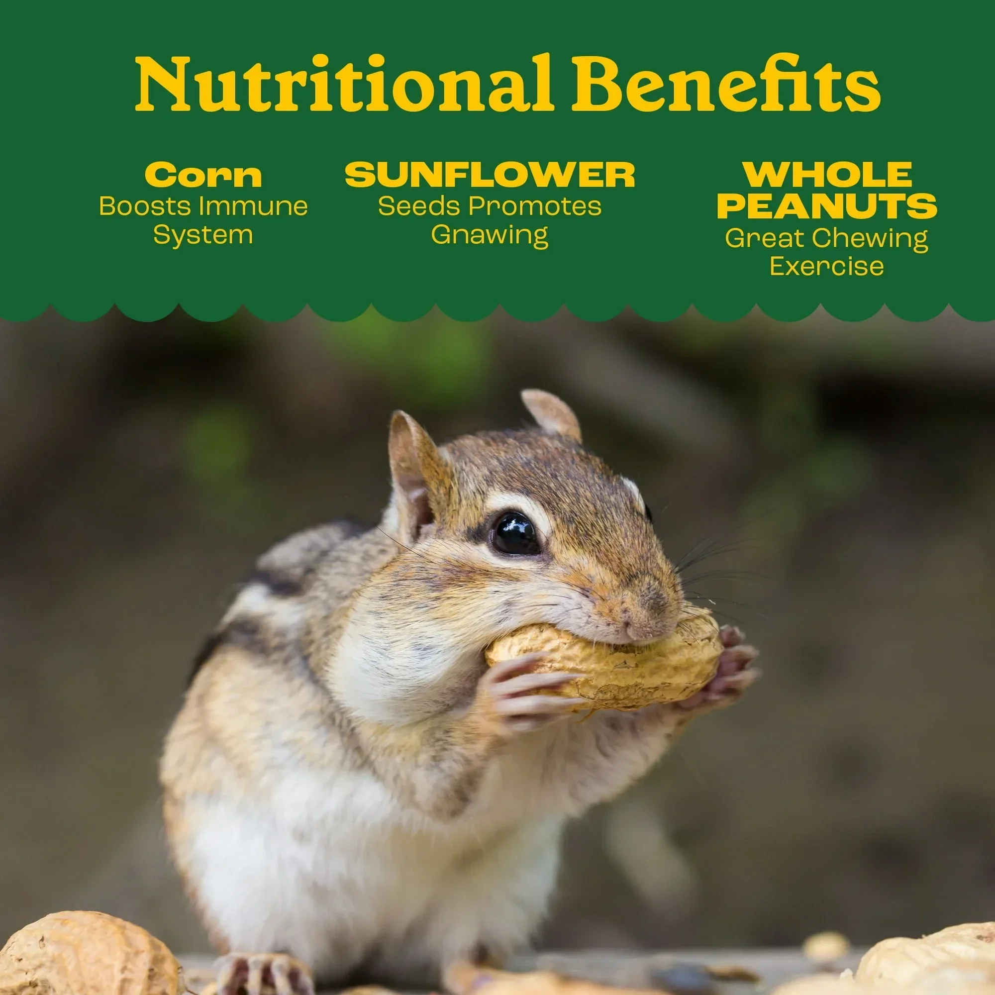 Pennington Classics Squirrel & Critter Blend Wildlife Food - Image 17
