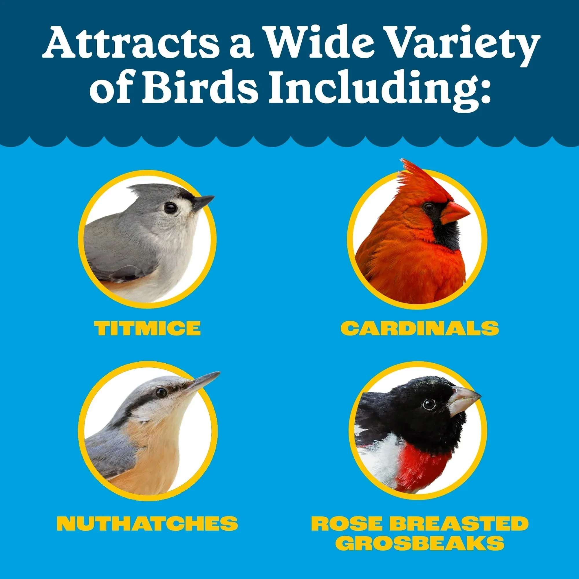 Pennington Feeding Frenzy Wild Bird Seeds, Wild Bird Food Mix - Image 29