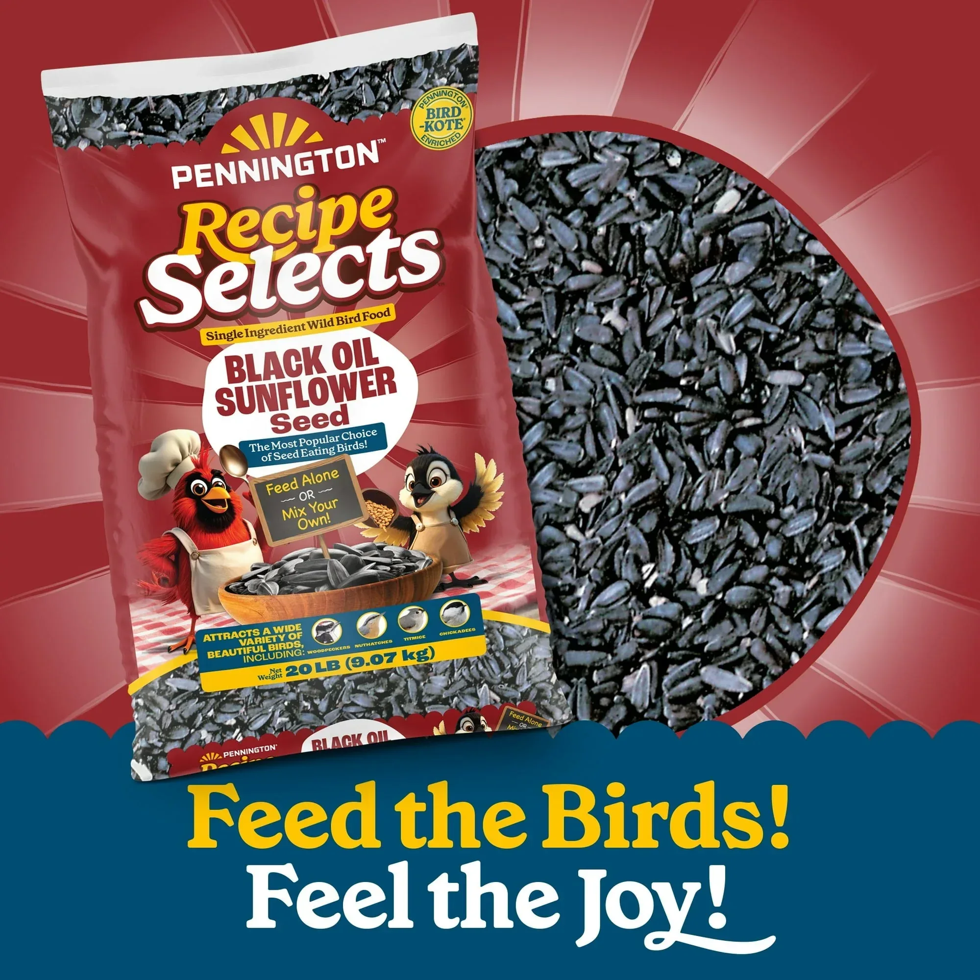 Pennington Recipe Selects Black Oil Sunflower Seed Dry Wild Bird Feed, Bird Food, 1 Pack - Image 14