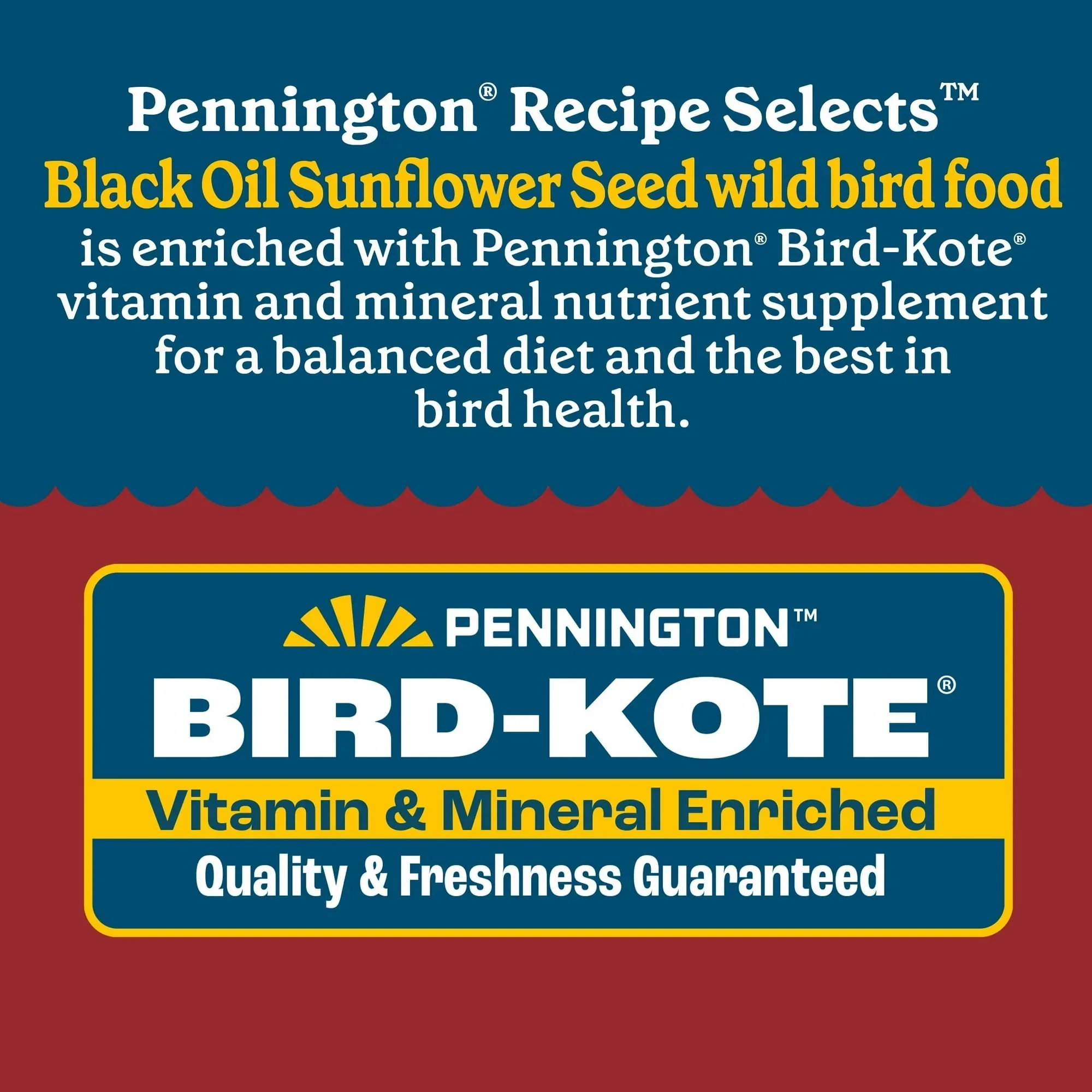 Pennington Recipe Selects Black Oil Sunflower Seed Dry Wild Bird Feed, Bird Food, 1 Pack - Image 20