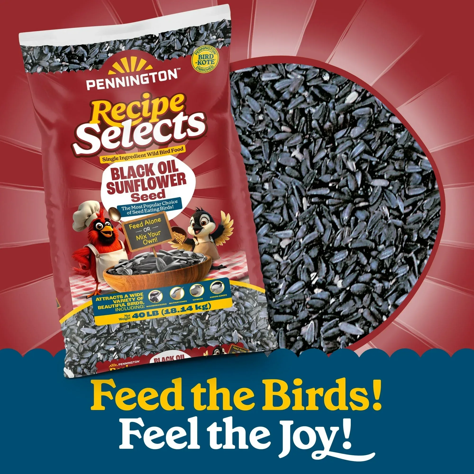 Pennington Recipe Selects Black Oil Sunflower Seed Dry Wild Bird Feed, Bird Food, 1 Pack - Image 25