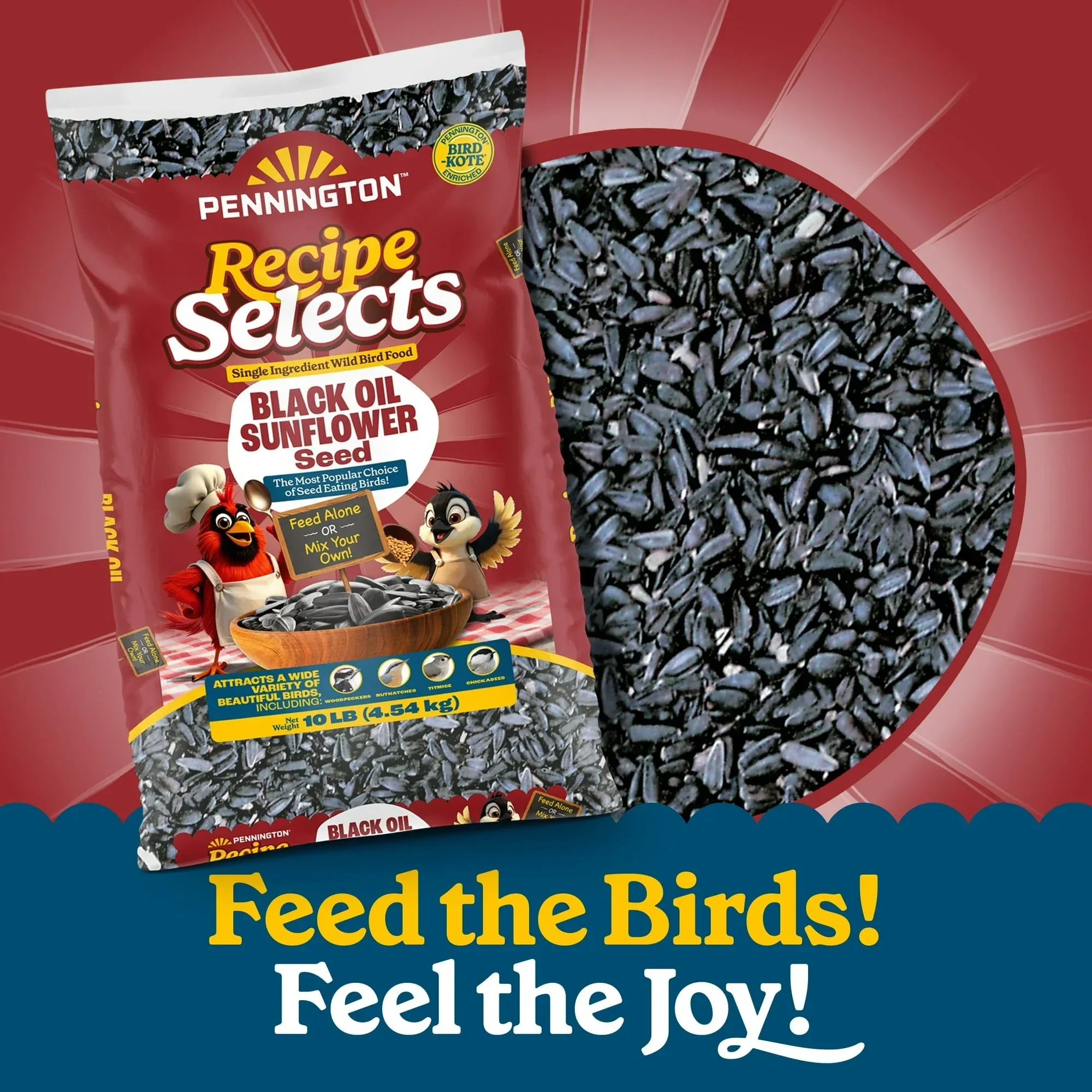 Pennington Recipe Selects Black Oil Sunflower Seed Dry Wild Bird Feed, Bird Food, 1 Pack - Image 3