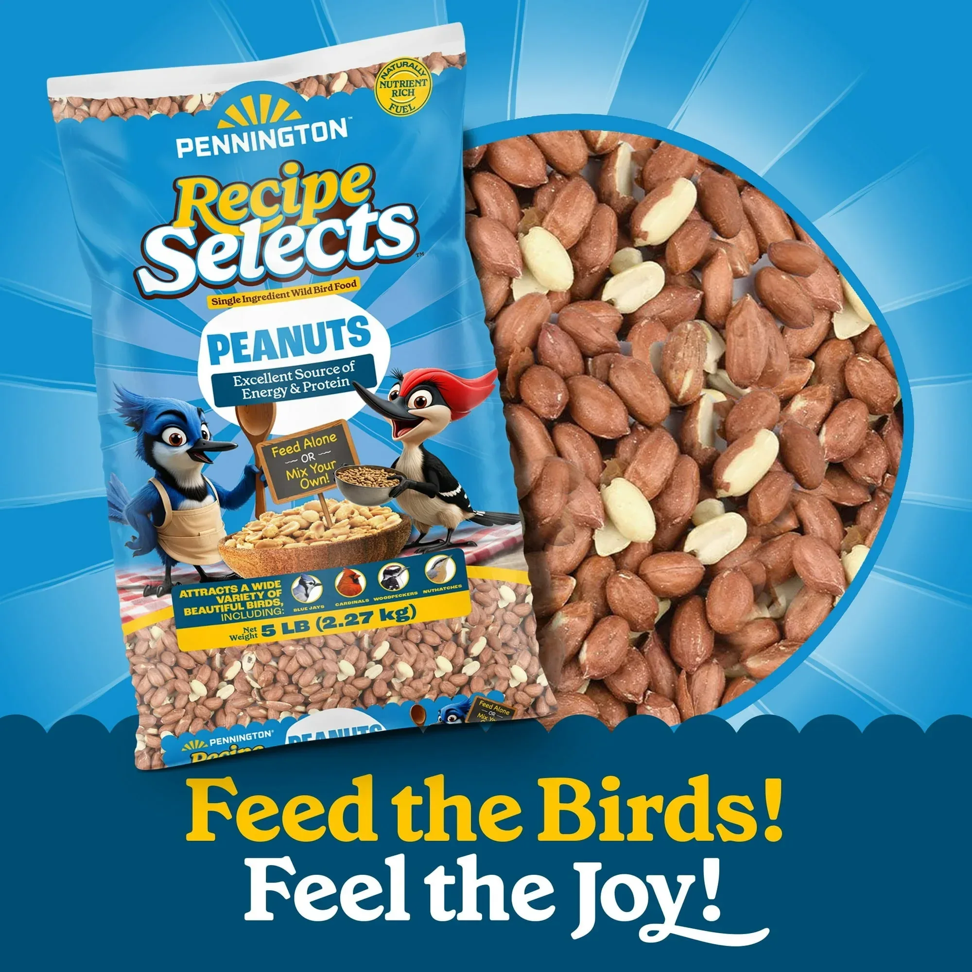 Pennington Recipe Selects Shell Free Whole Peanuts for Birds and Wildlife, Wild Bird Food, 5 lb Bag, Dry - Image 4