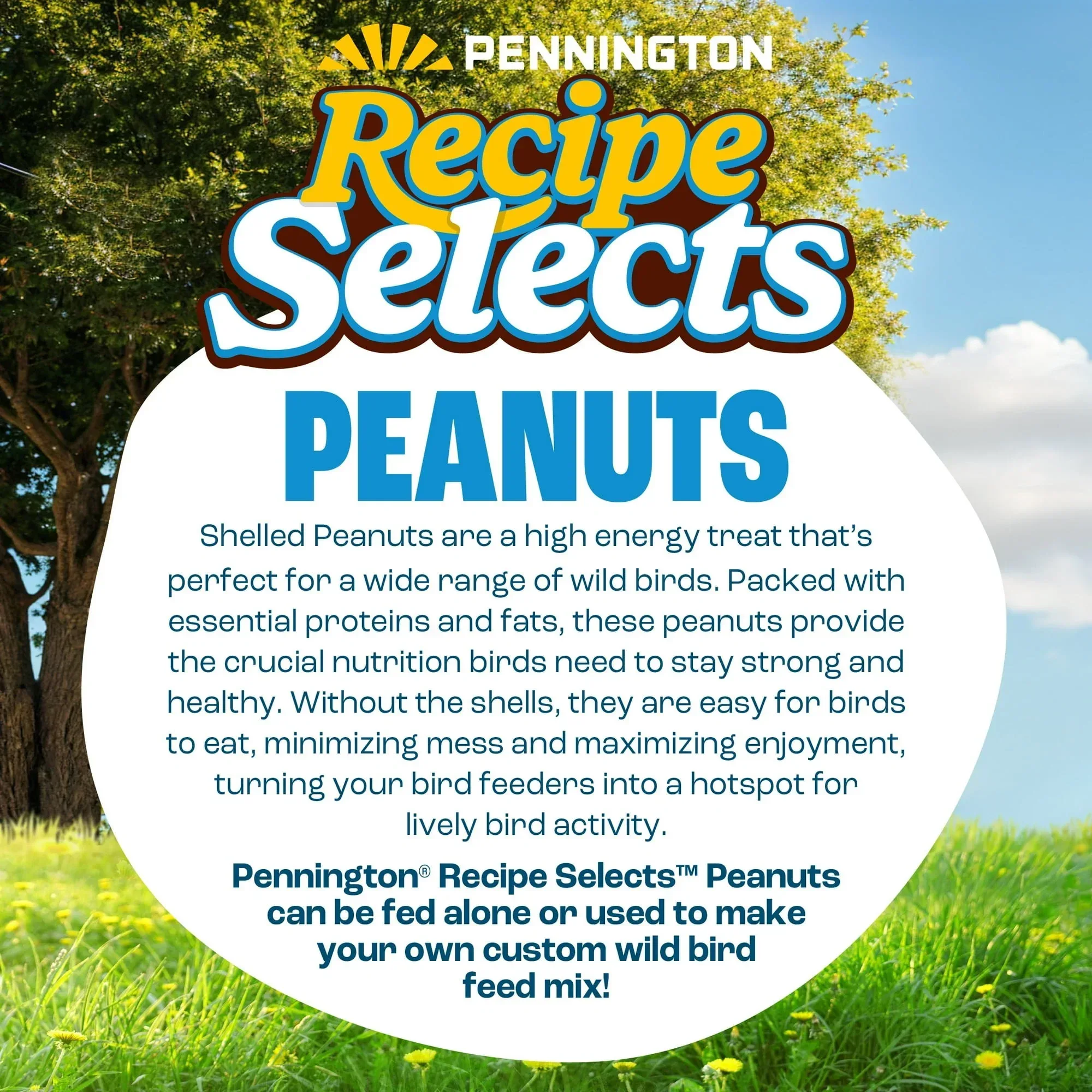 Pennington Recipe Selects Shell Free Whole Peanuts for Birds and Wildlife, Wild Bird Food, 5 lb Bag, Dry - Image 7