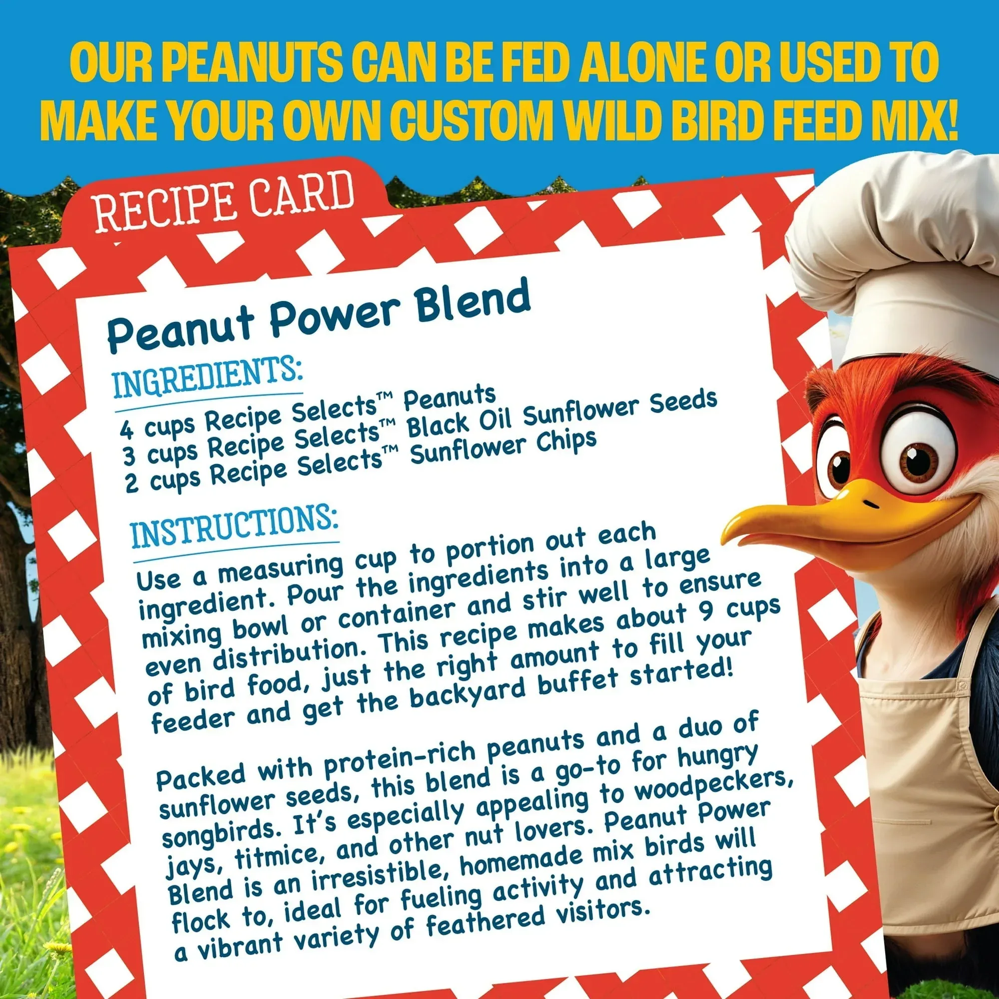 Pennington Recipe Selects Shell Free Whole Peanuts for Birds and Wildlife, Wild Bird Food, 5 lb Bag, Dry - Image 8