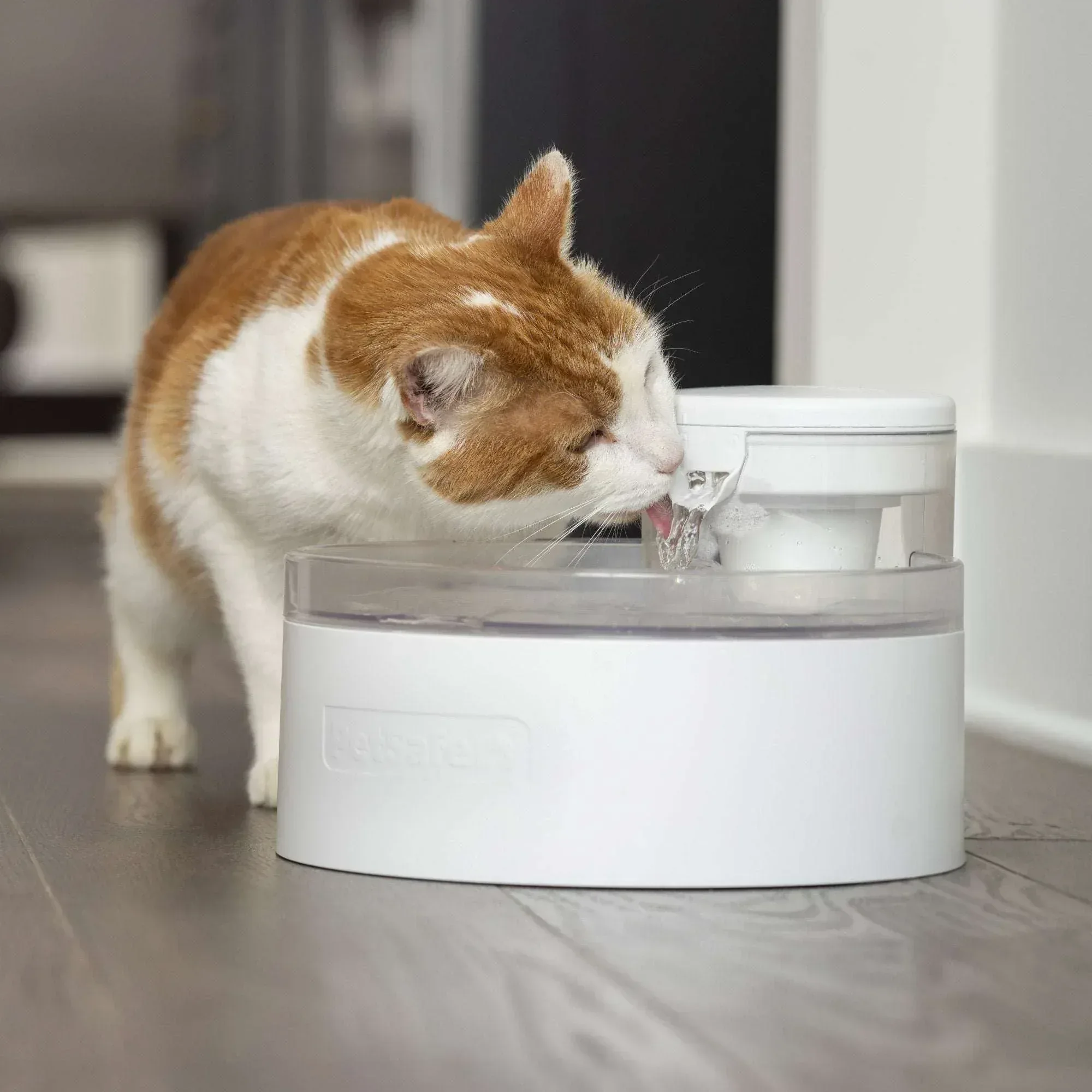 PetSafe Outlast 90 oz Cat Water Fountain, Bundle - Image 8