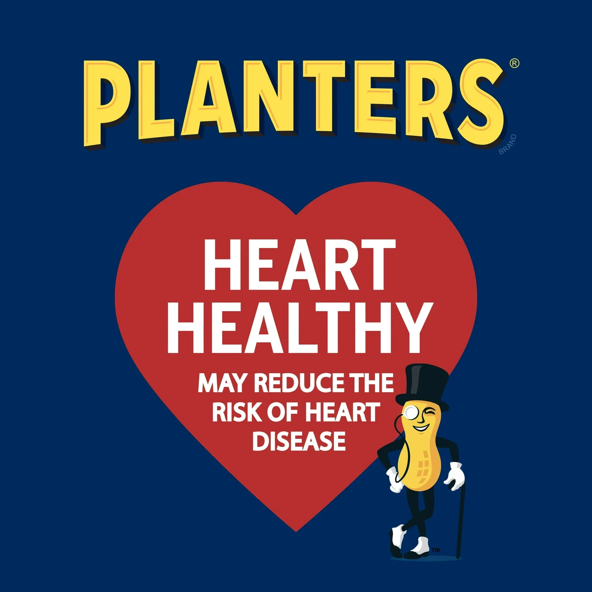 PLANTERS Lightly Salted Cashew Halves and Pieces, Party Snacks, Plant-Based Protein, 8 oz Canister - Image 2