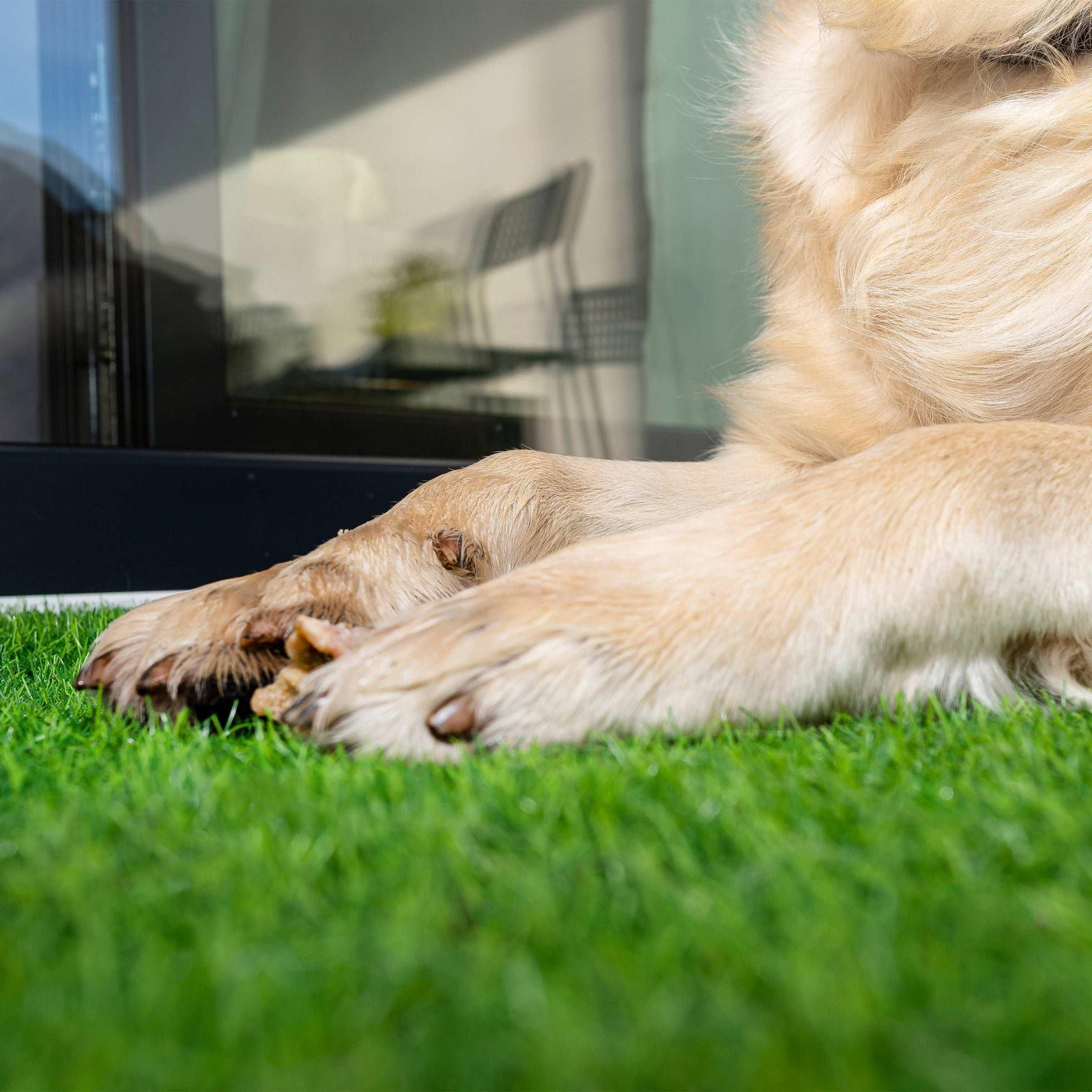 PreGra 50 oz Premium Artificial Turf - Image 2