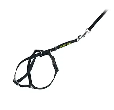 Premier Pet Cat Harness & Leash - Medium - Image 2