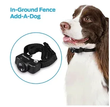 Premier Pet In-Ground Add-A-Dog Collar - Image 3