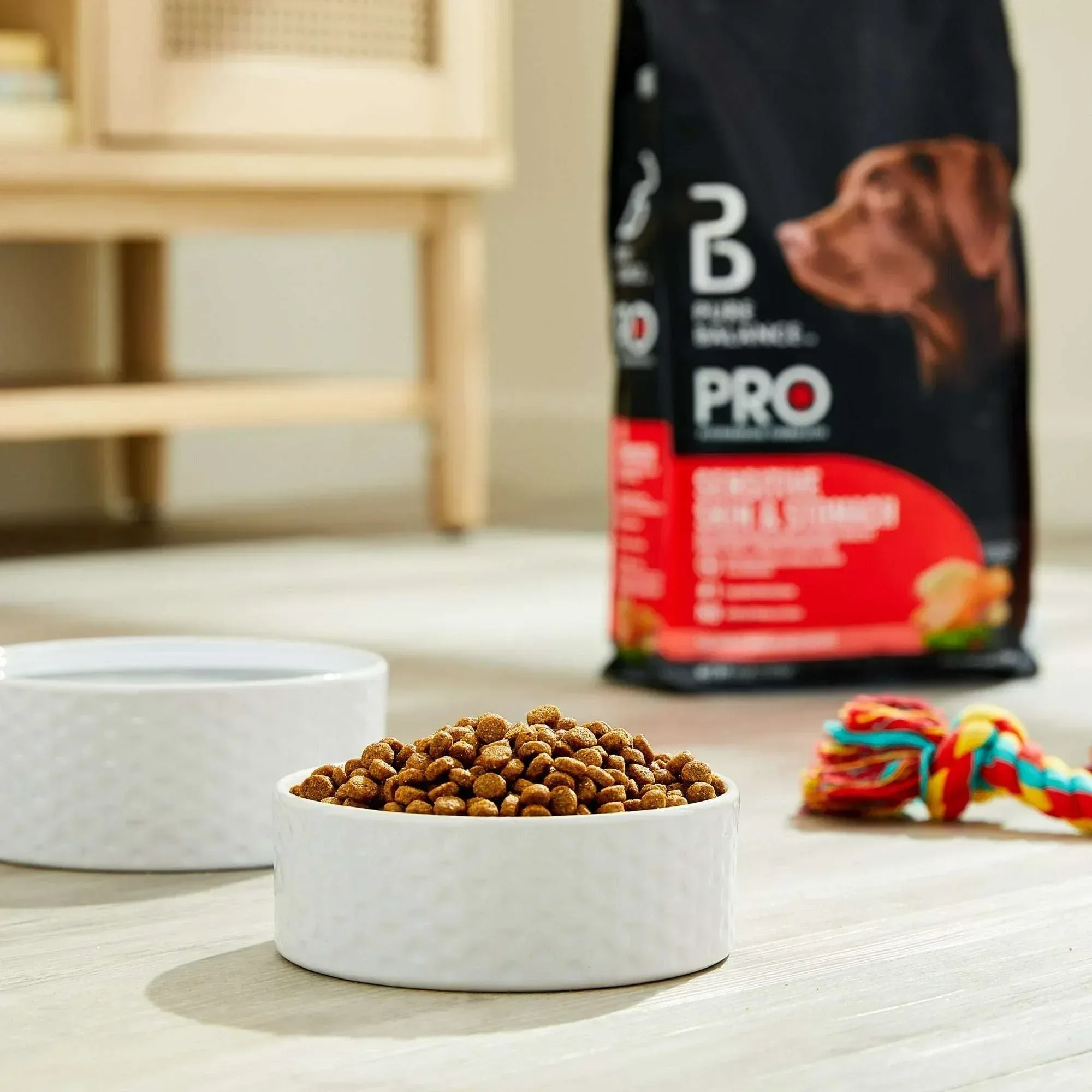 Pure Balance Pro+ Sensitive Skin & Stomach Dog Food, Salmon & Rice Recipe - Image 2