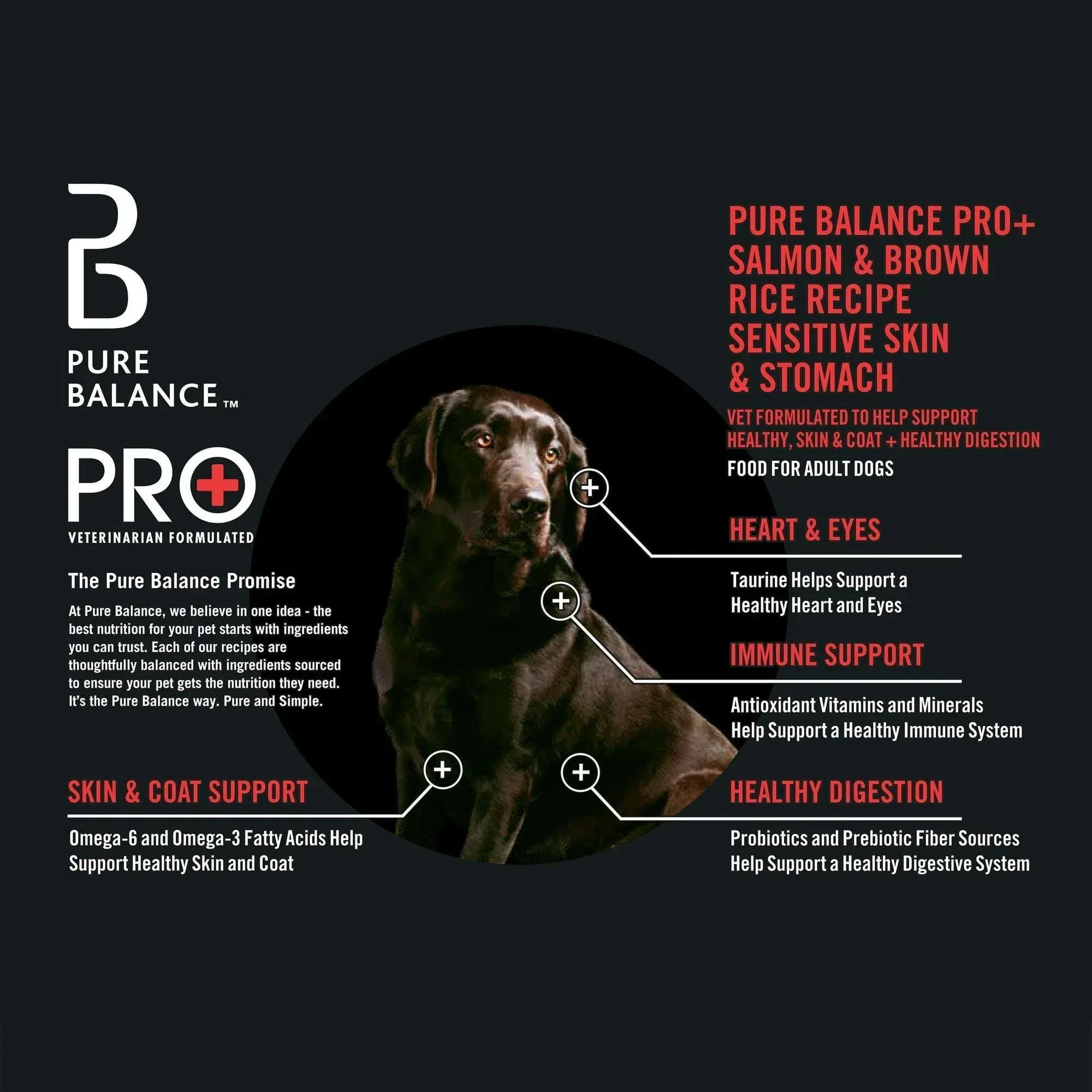 Pure Balance Pro+ Sensitive Skin & Stomach Dog Food, Salmon & Rice Recipe - Image 4
