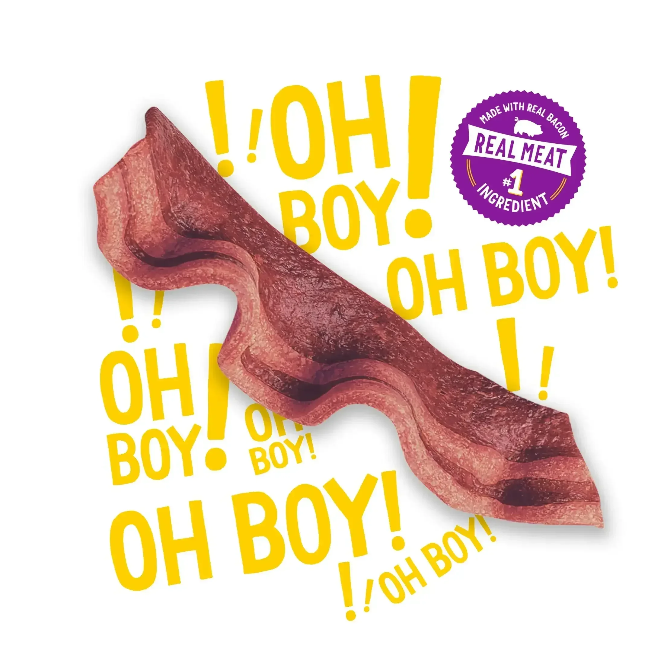 Purina Beggin' Strips Dog Treats with Real Bacon & Beef Flavors Tender Chews, 40 oz Pouch - Image 2