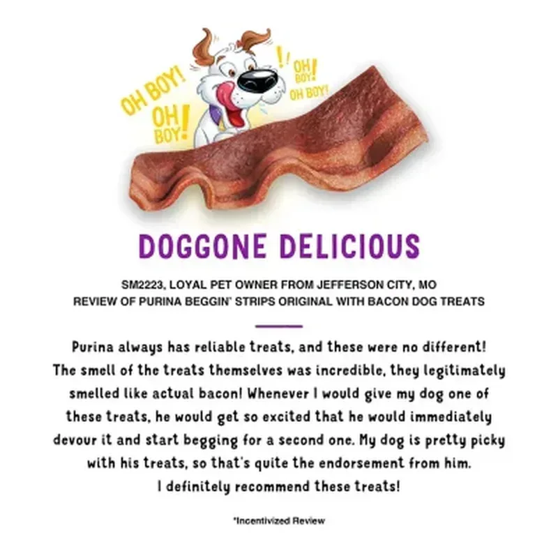 Purina Beggin' Strips Real Meat Dog Treats, Bacon & Bacon + Cheese Flavors (32 Oz., 2 Pk.) - Image 8