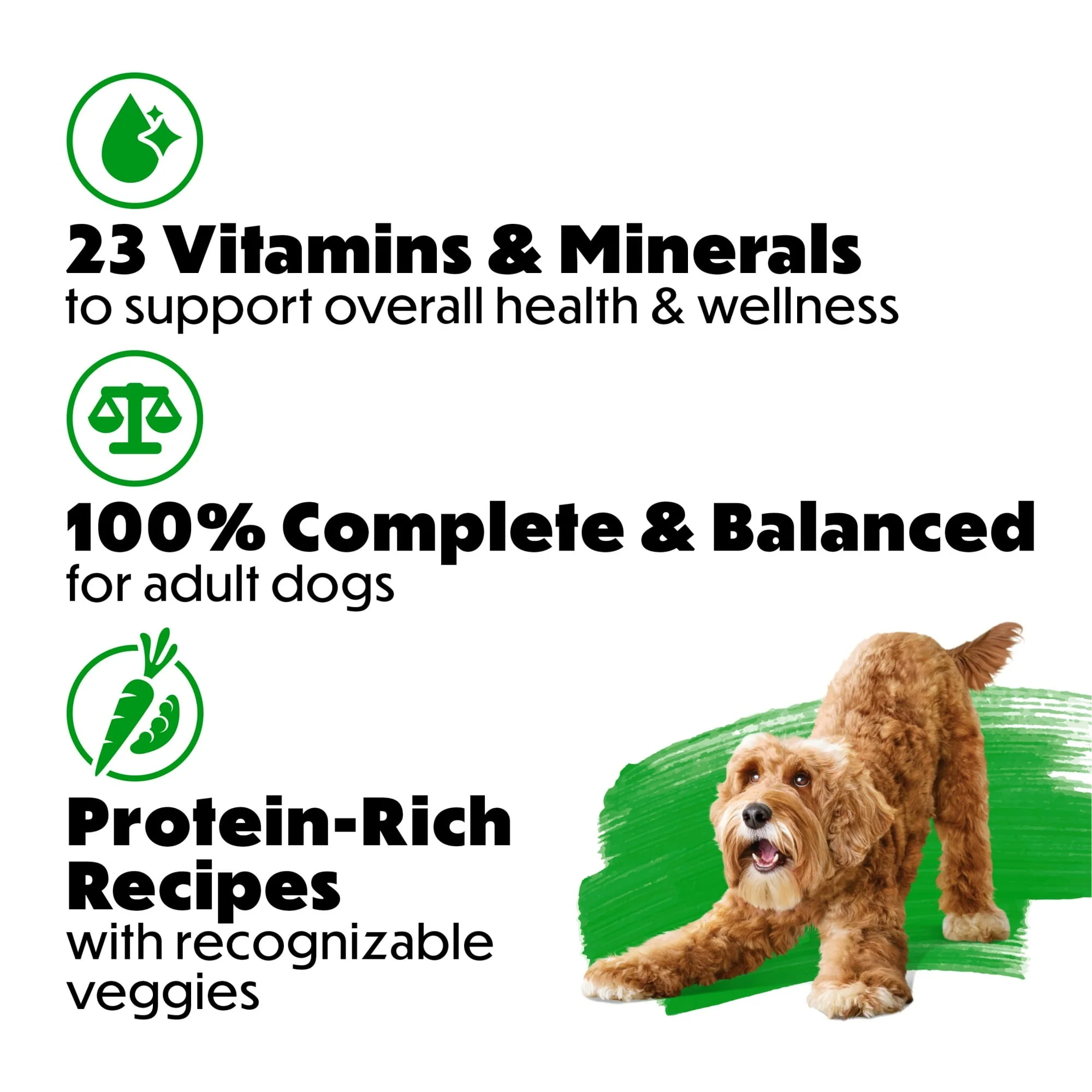 Purina Beneful Dog Food Freshly Prepared Meals Variety Pack Wet Dog Food with Gravy - Image 11