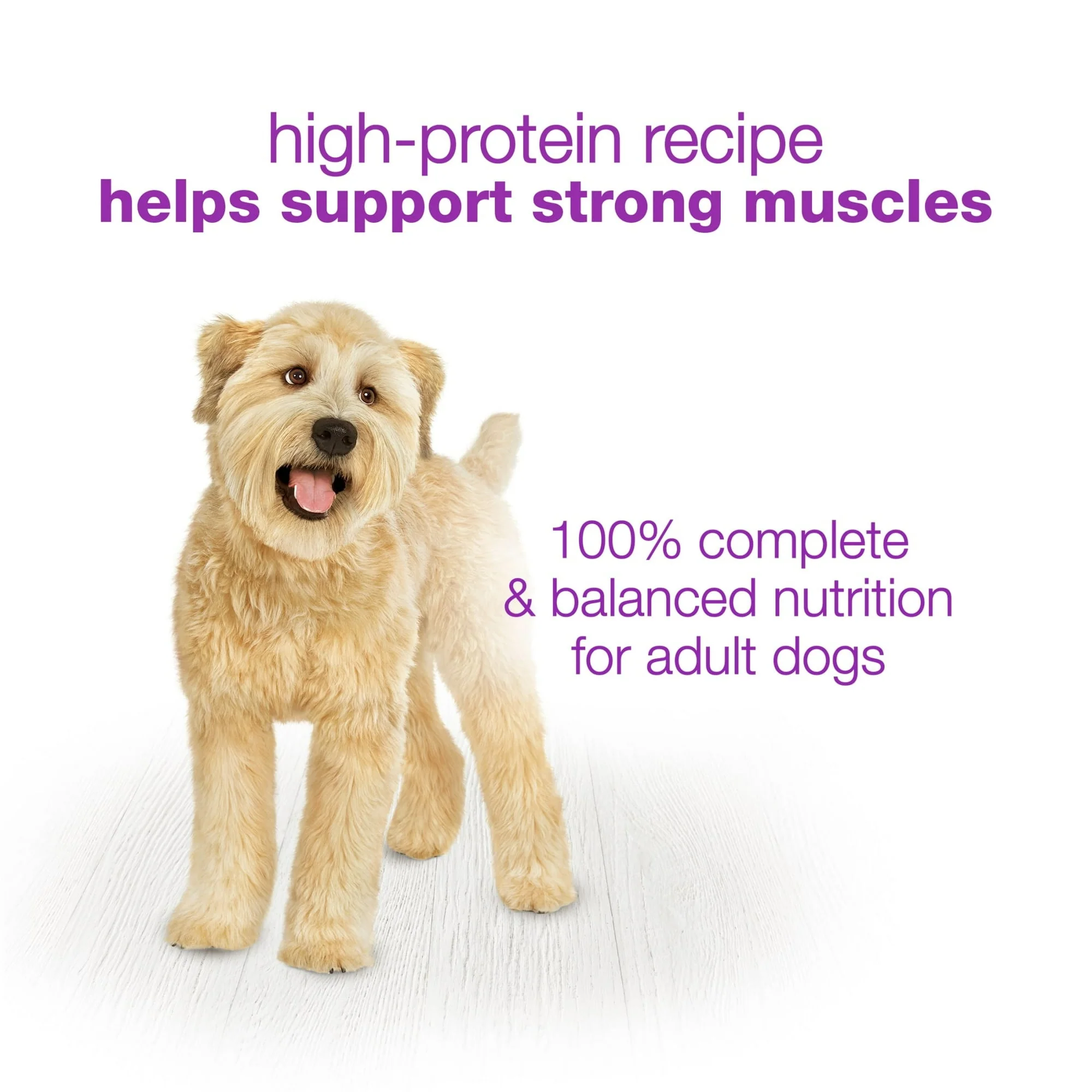 Purina Beneful Dog Food Freshly Prepared Meals Variety Pack Wet Dog Food with Gravy - Image 23
