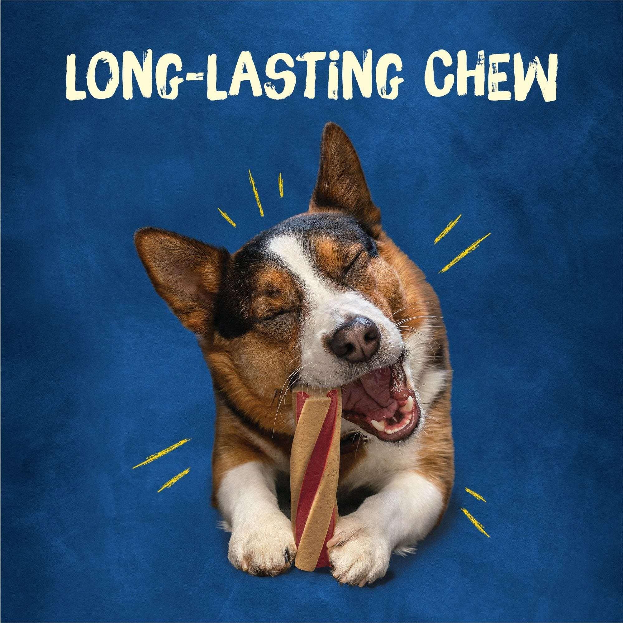 Purina Busy with Beggin’ Twist’d Adult Dog Chew Bone Treats - 18 ct. Pouch - Image 10
