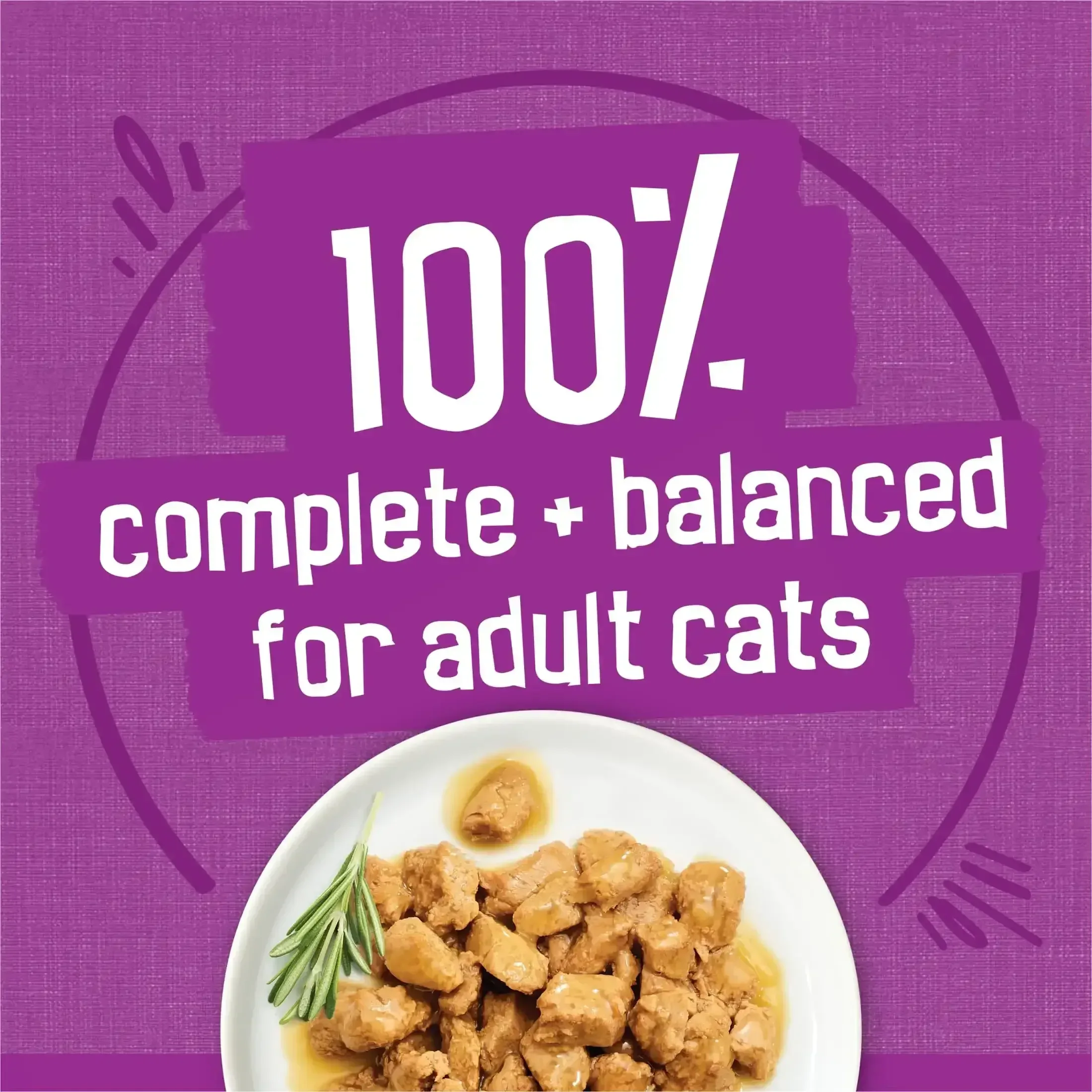 Purina Friskies Gravy, Poultry, Meaty Bits and Filets, Wet Cat Food, 5.5 oz Cans, 32 Pack - Image 6