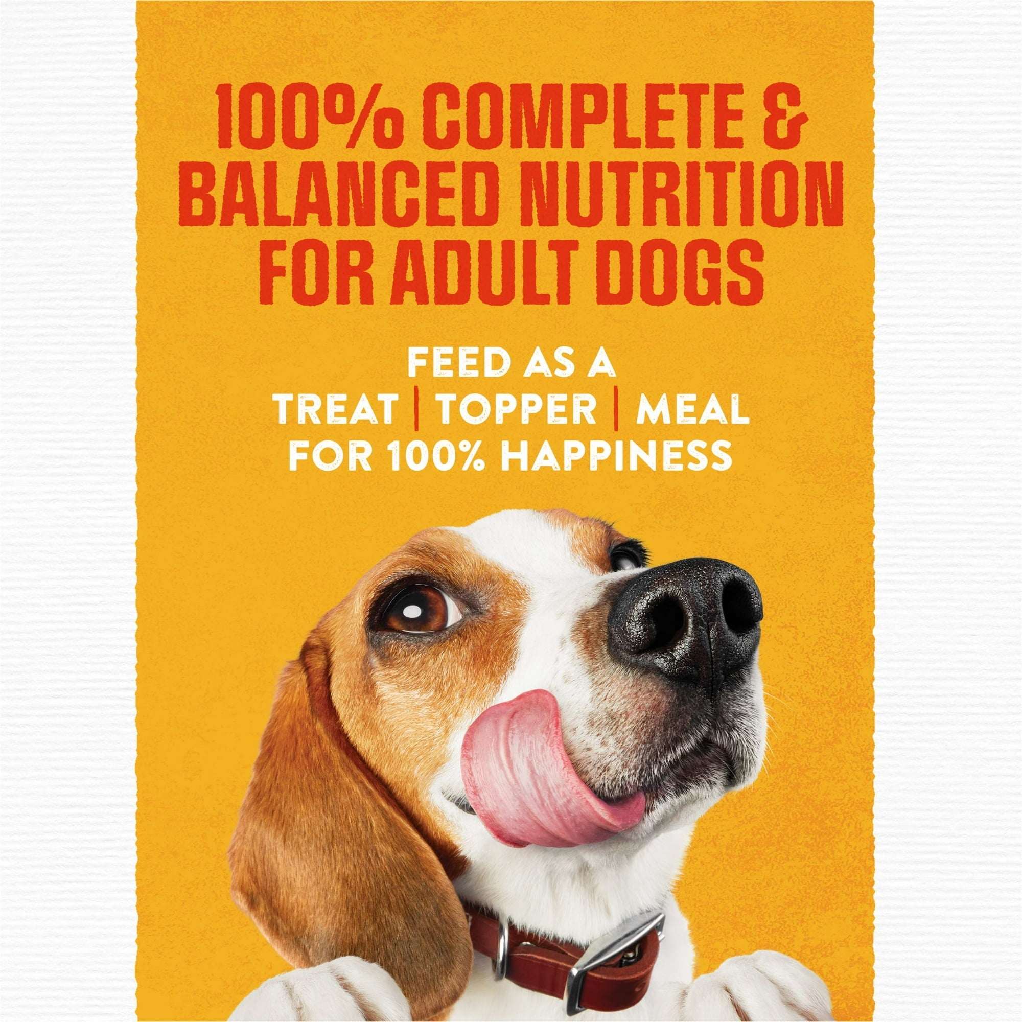 Purina Moist and Meaty Rise and Shine Awaken Bacon and Egg Flavor Soft Dog Food High Protein Pouches (12 Pouches) - Image 14