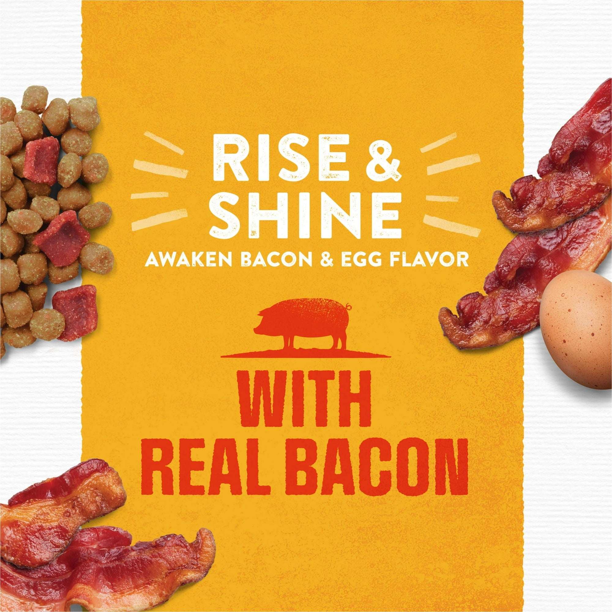 Purina Moist and Meaty Rise and Shine Awaken Bacon and Egg Flavor Soft Dog Food High Protein Pouches (12 Pouches) - Image 3