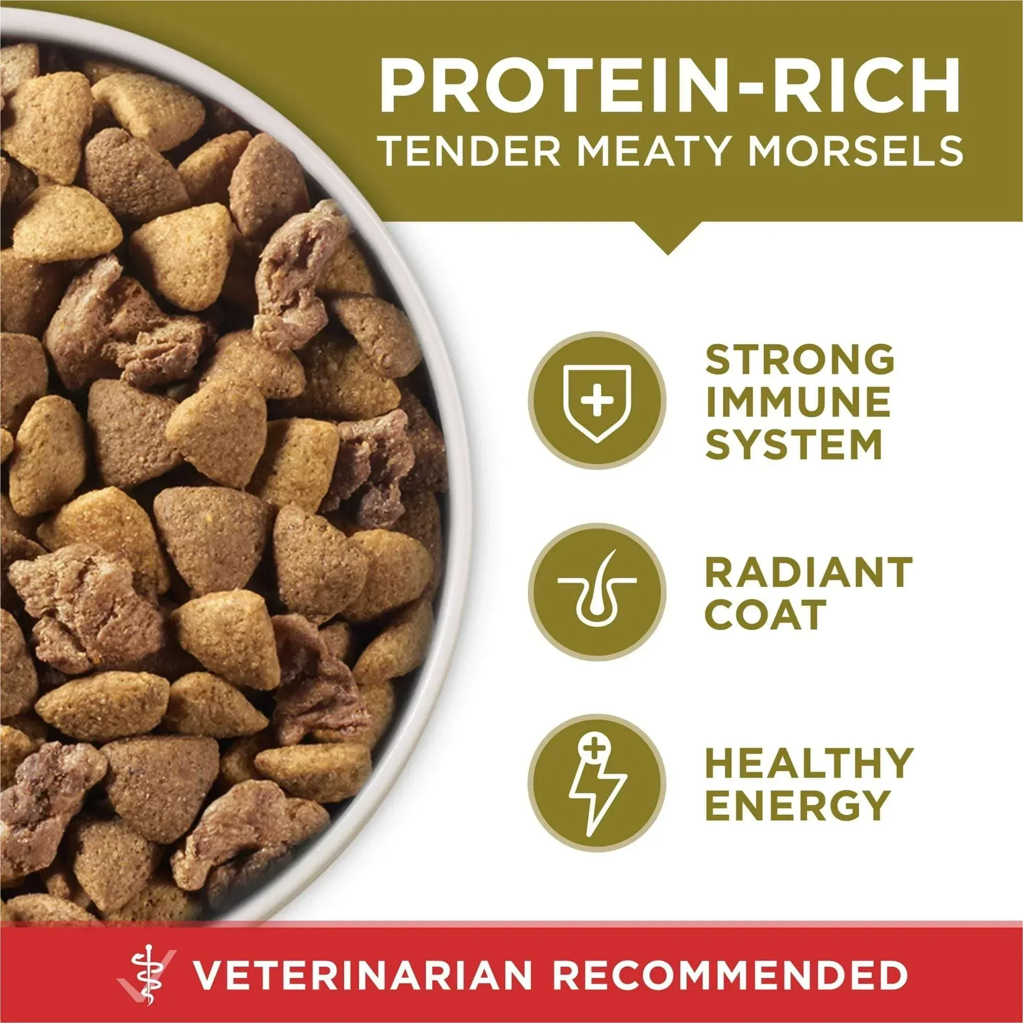 Purina ONE Dry Dog Food Lamb and Rice Formula - Image 10