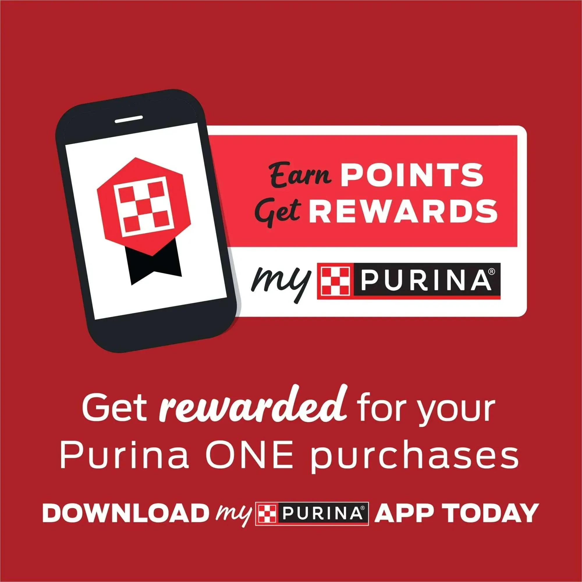 Purina ONE Dry Dog Food Lamb and Rice Formula - Image 2
