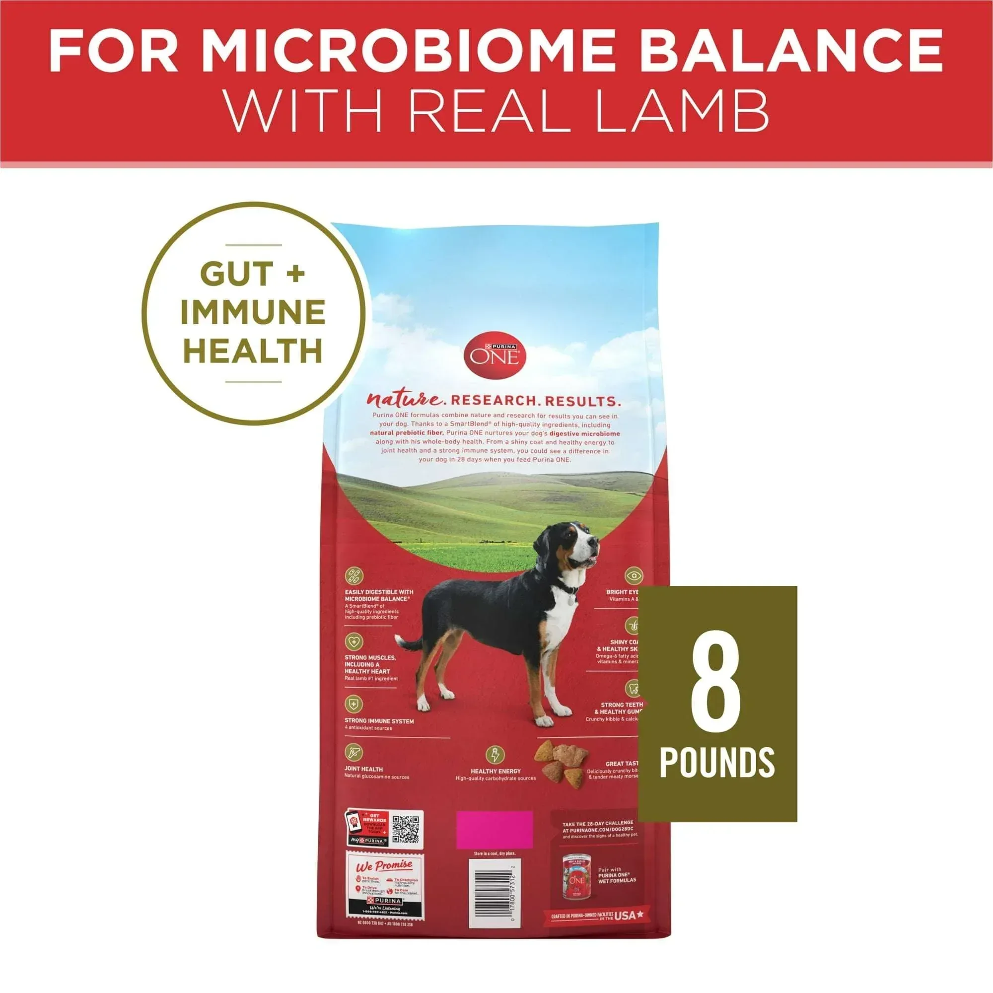 Purina ONE Dry Dog Food Lamb and Rice Formula - Image 6