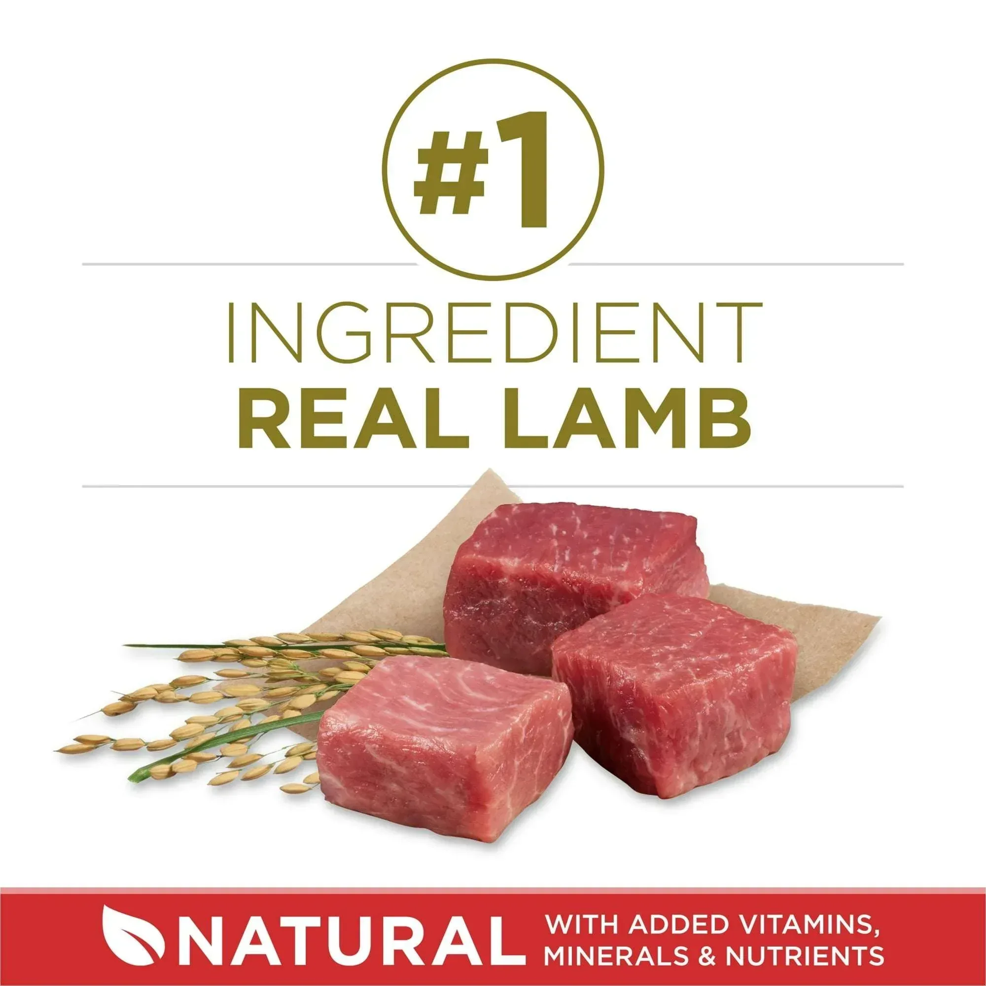 Purina ONE Dry Dog Food Lamb and Rice Formula - Image 9